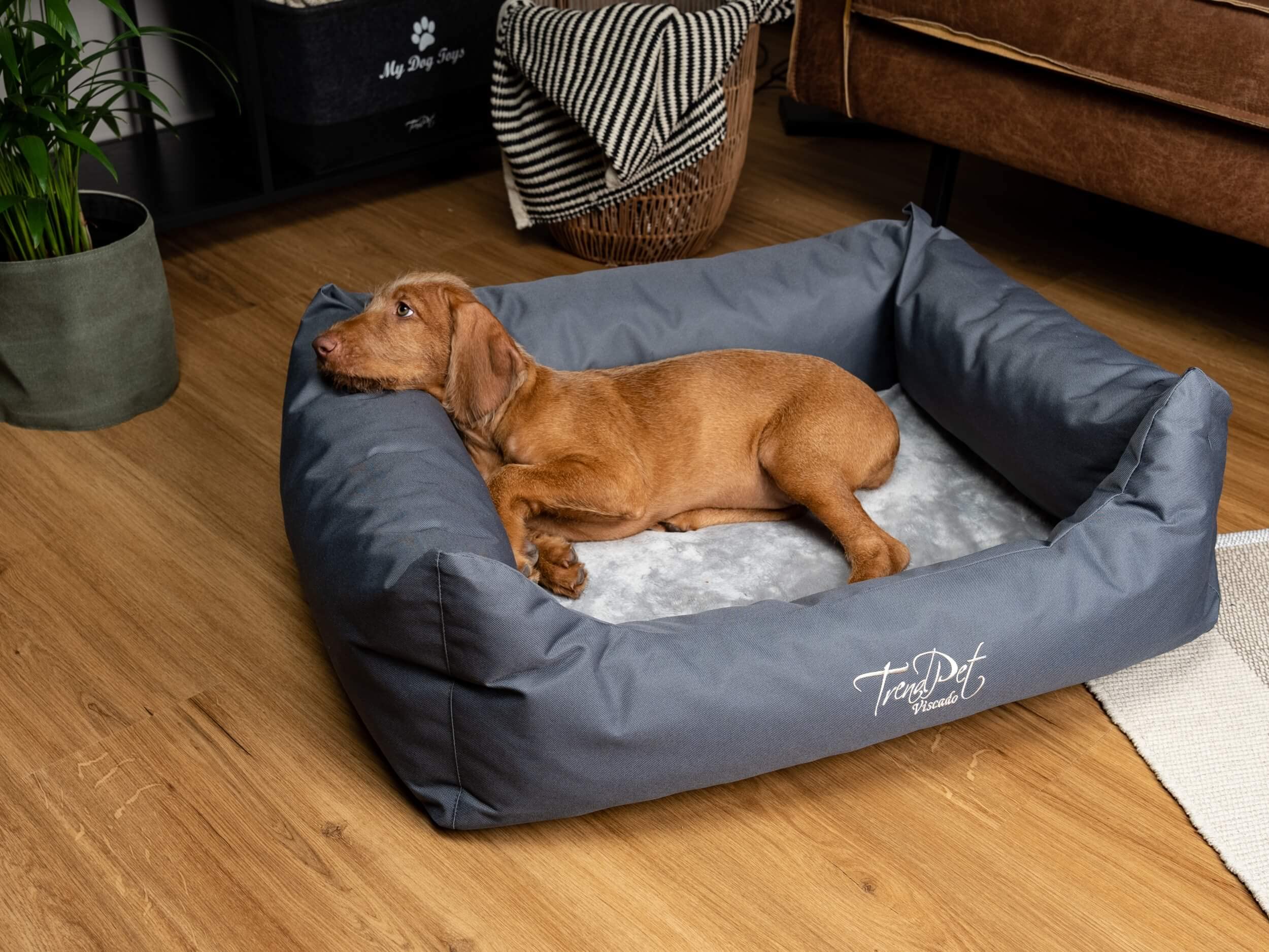 TrendPet Viscado - orthopädisches Hundebett grau
