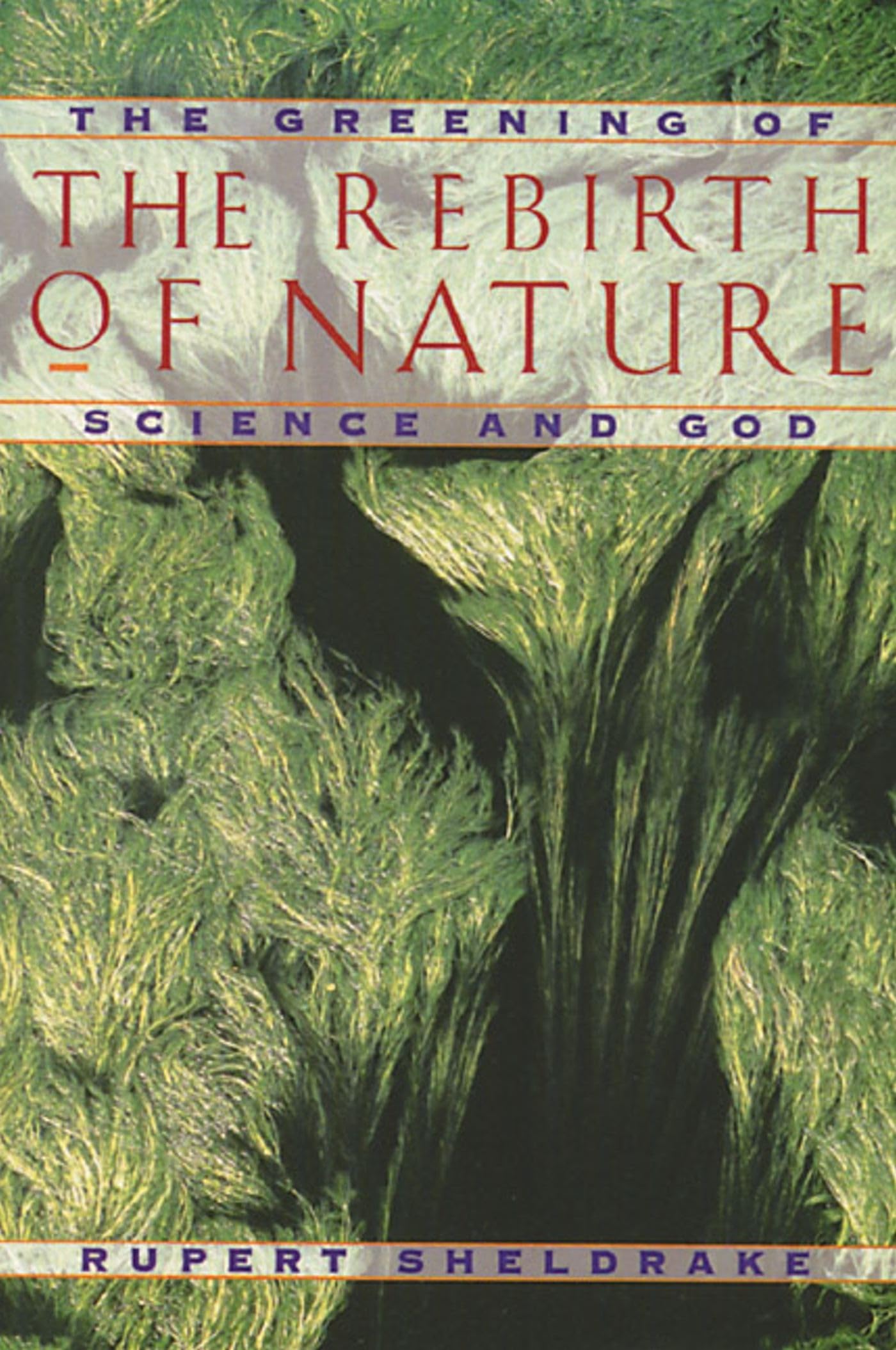 Rebirth of Nature : The Greening of Science and God by Rupert Sheldrake ...