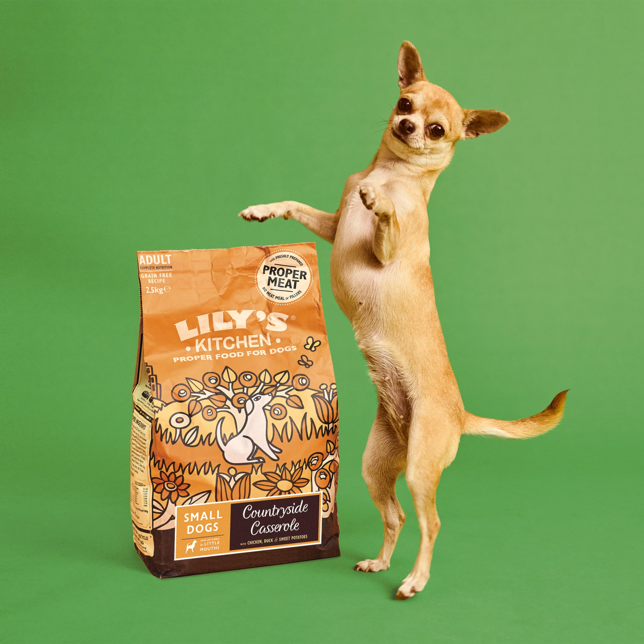 Lily's Kitchen Prodotto con ingredienti naturali Cibo secco per cani adulti di piccola taglia Ricetta senza cereali con pollo e anatra 2.5 kg