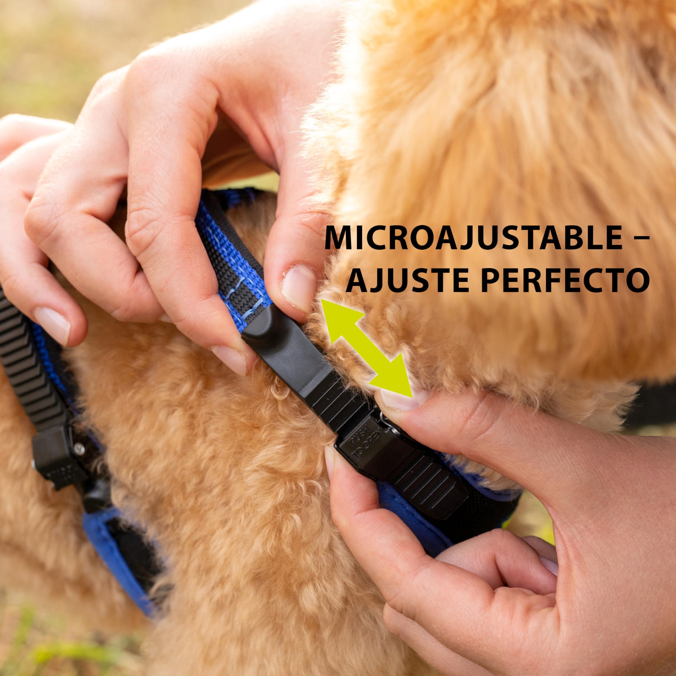 Ferplast Arnés para Perros medianos ERGOCOMFORT, Ajustable, cómodo, Acolchado, de fácil colocación y extracción, Talla M, máximo 30 kg. Azul.