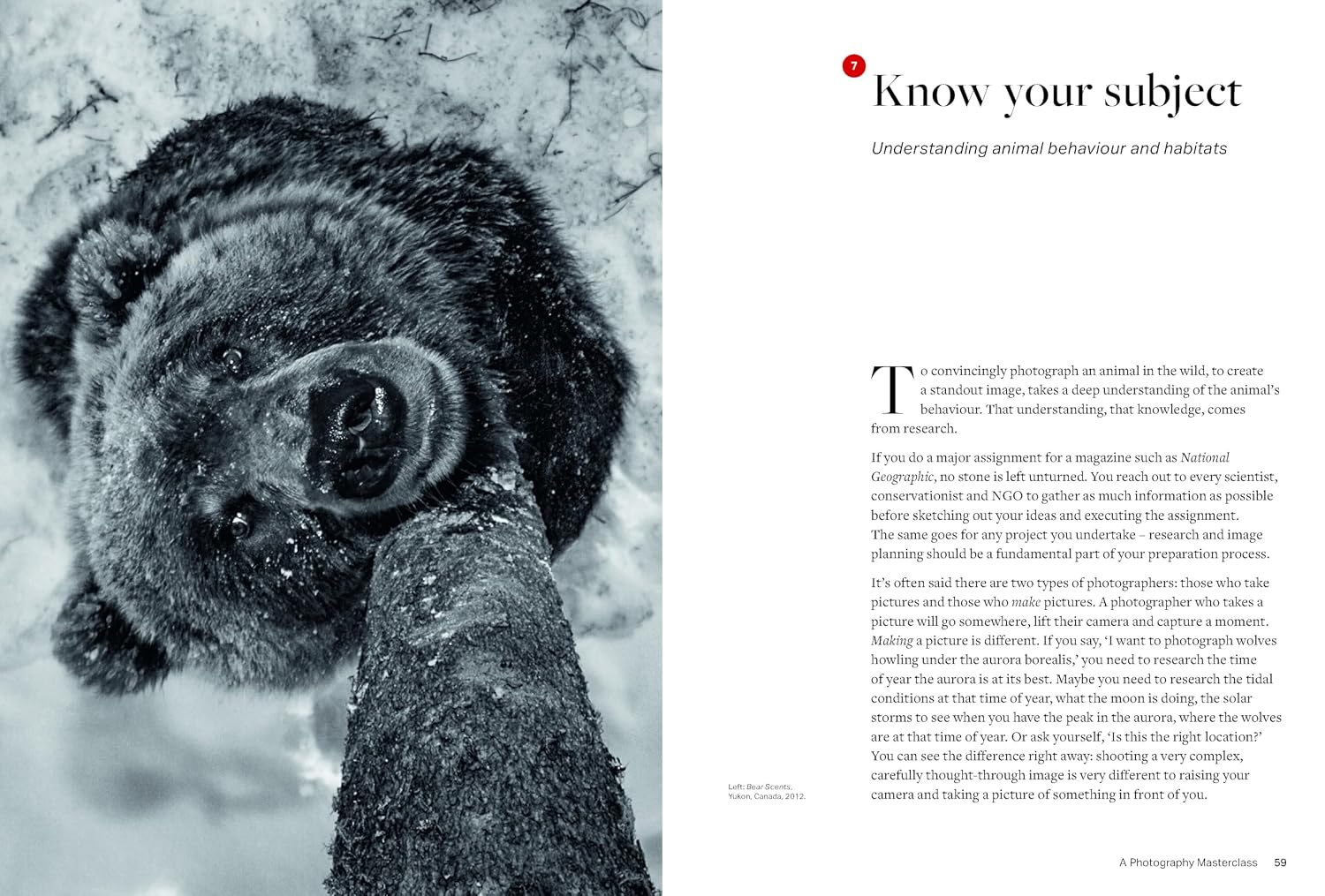 Paul Nicklen: A Photography Masterclass