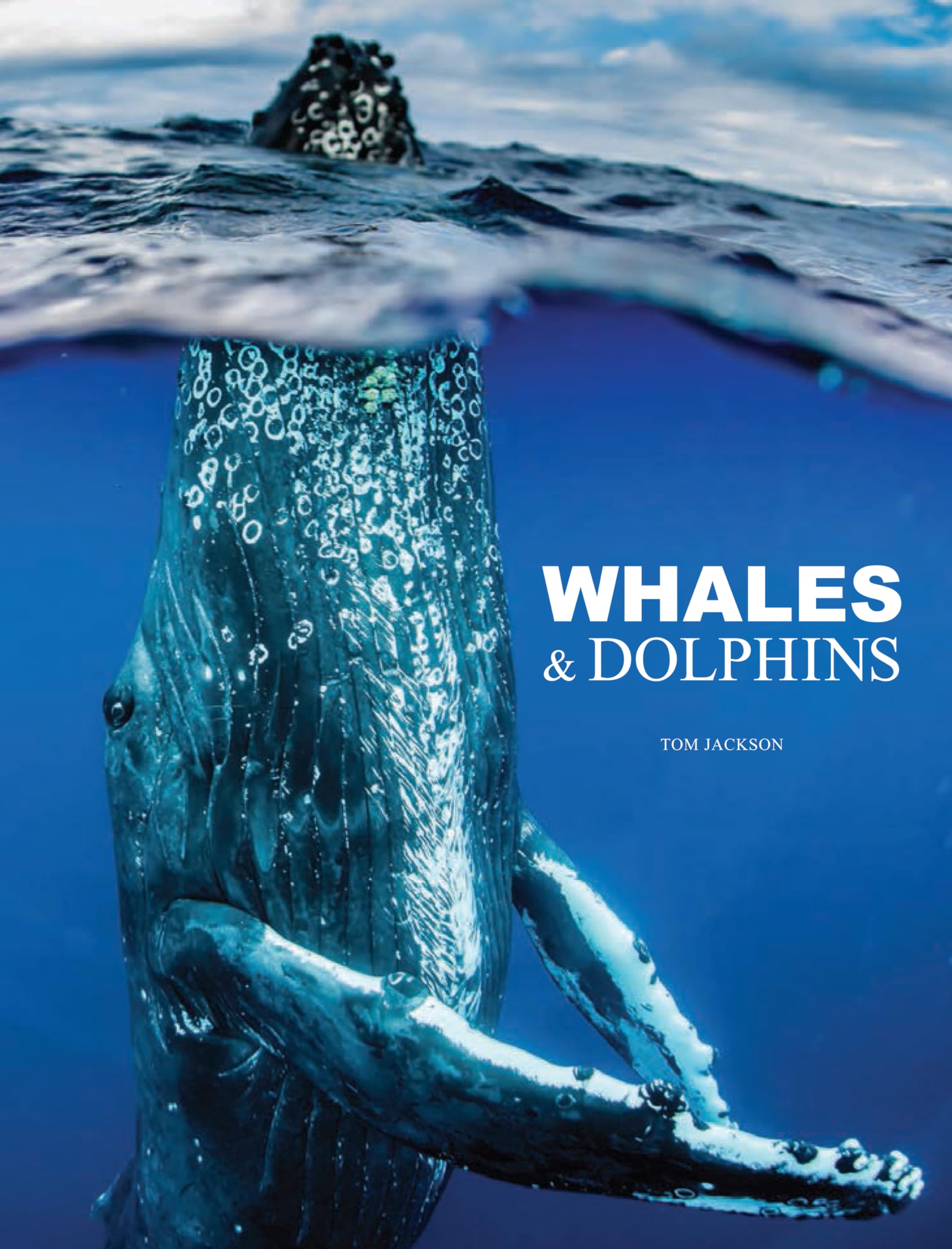 Whales & Dolphins (Animals) (Animals in Photographs)