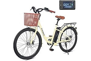 DALWI Electric Bike for Adults