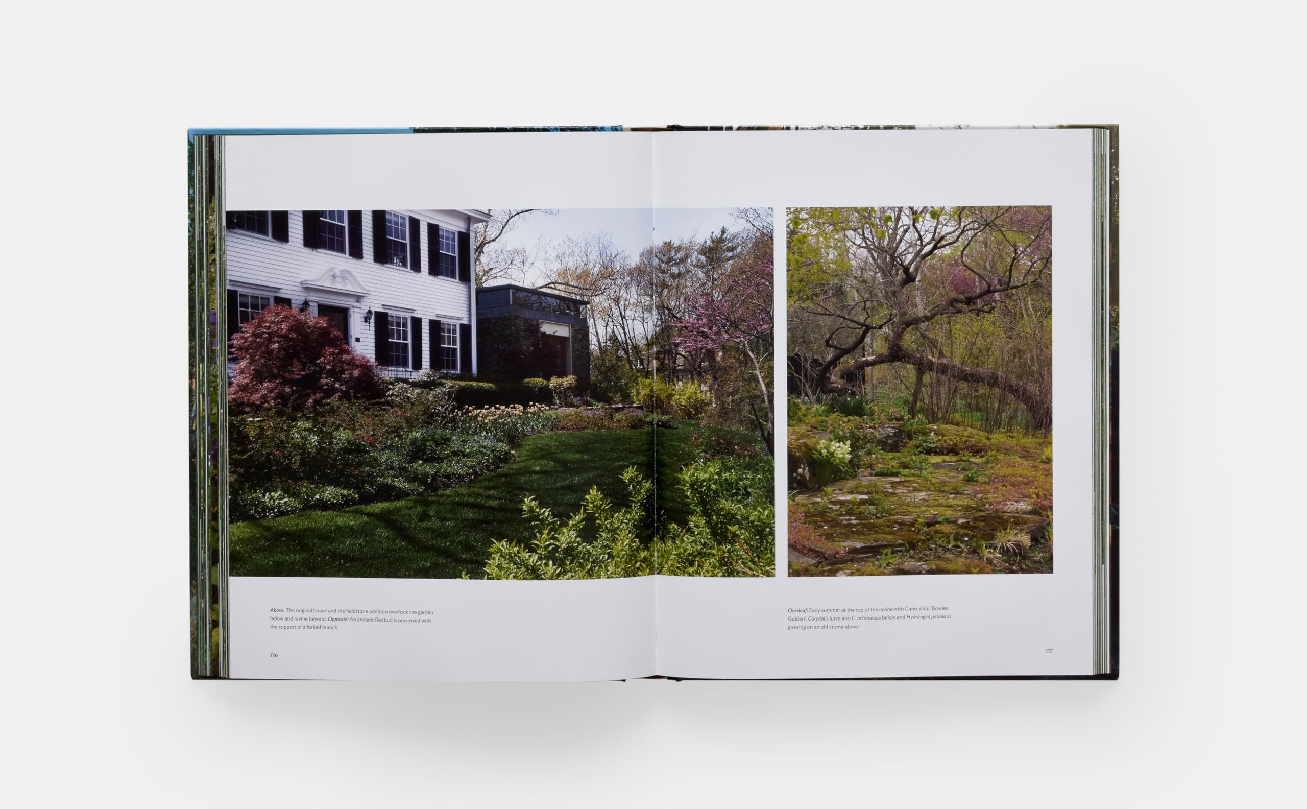 The Art of Fine Gardening: Craig Bergmann Landscape Design