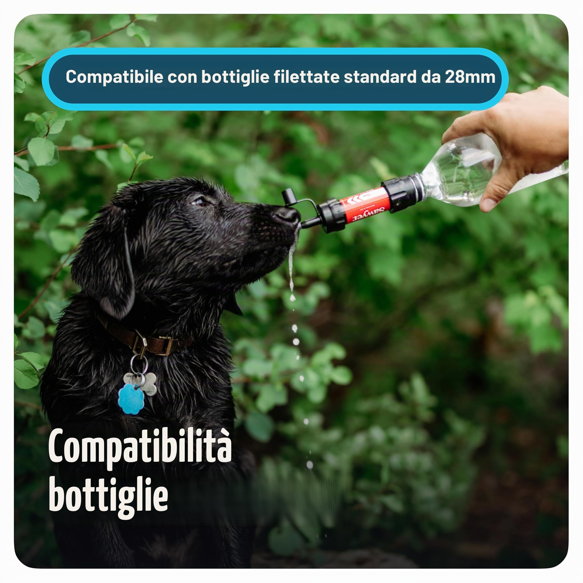 Sawyer Mini PointONE Filtro Acqua da Esterno per Emergenze, Rimuove il 100% di Microplastiche e il 99,99999% di Tutti i Batteri