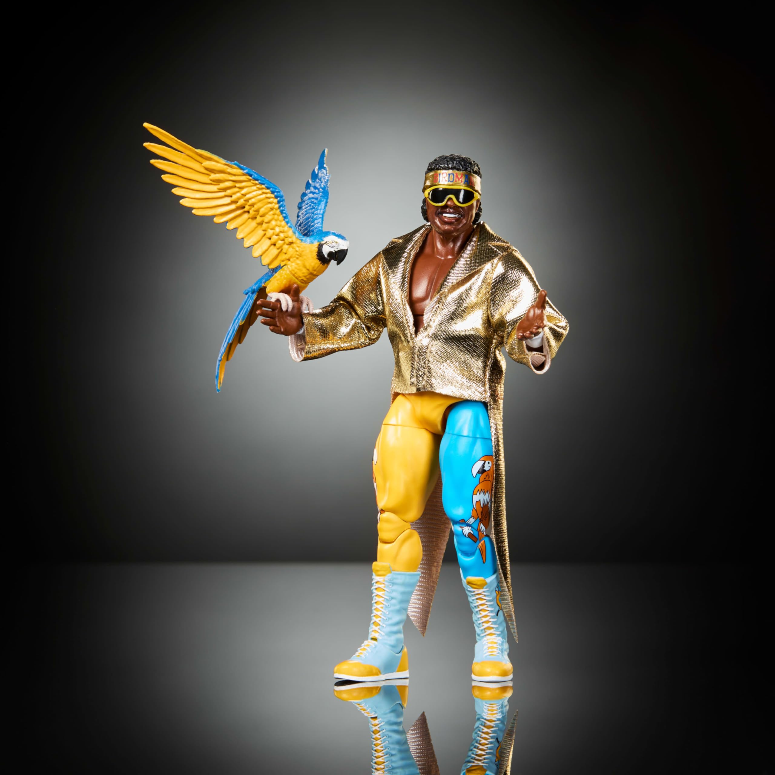 Amazon.com: Mattel WWE Elite Action Figure & Accessories, Series