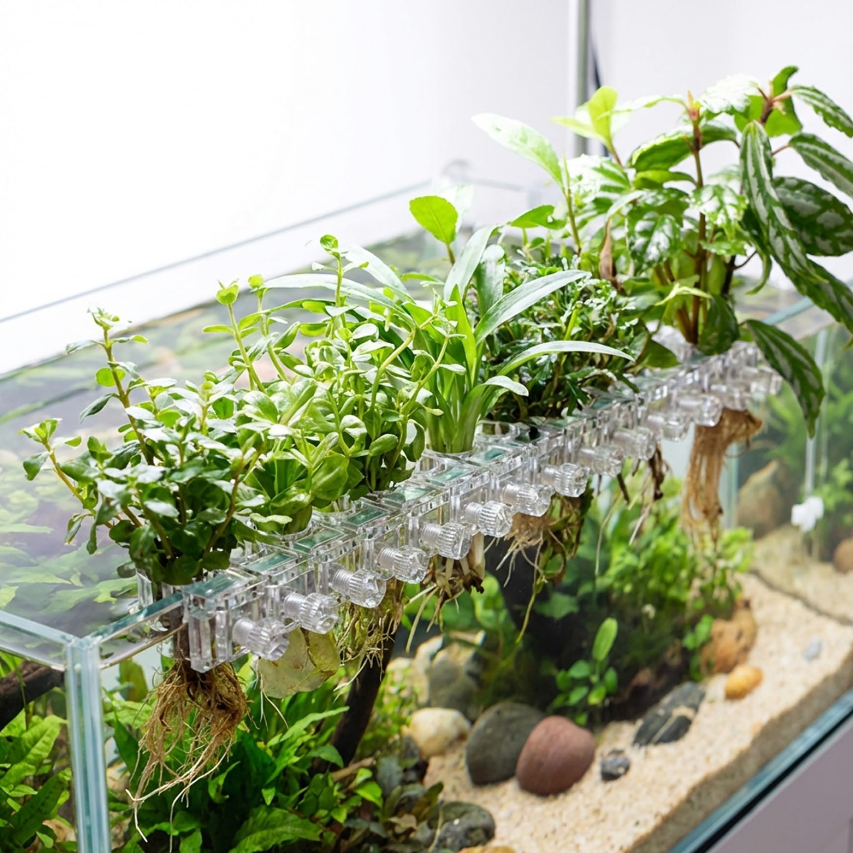 Porta piante per acquario da 12 pezzi, porta piante trasparente per acquario con design a forma di U per una facile installazione e un Aquascaping flessibile