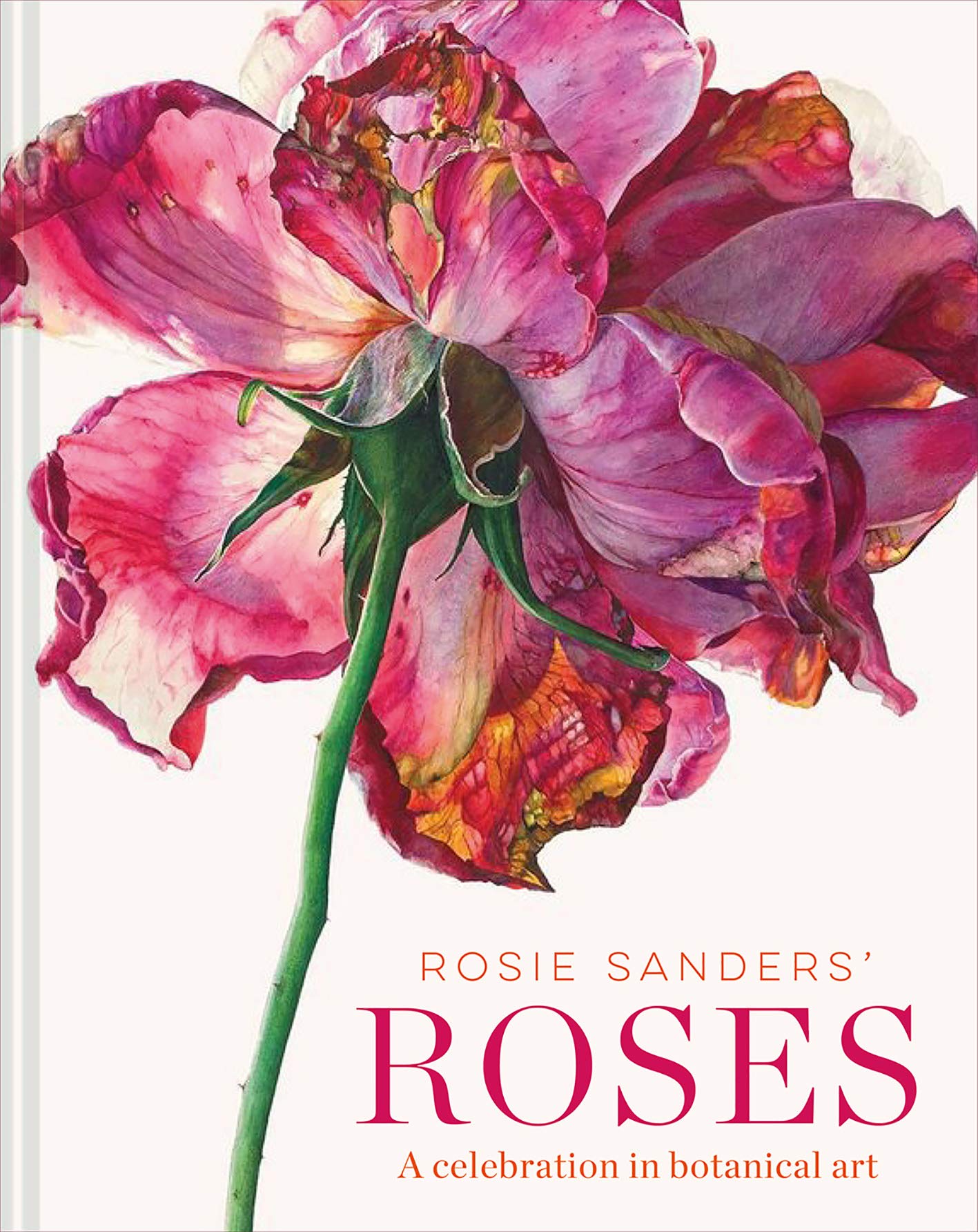 Rosie Sanders Roses cadeau idéal d'art de prestige pour les passionnés de jardinage