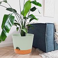 Vista 11 de GARDIFE 10/9/8 inch Plant pots, planters for Indoor Plants, self Watering Plant Pot, Flower pots, Black