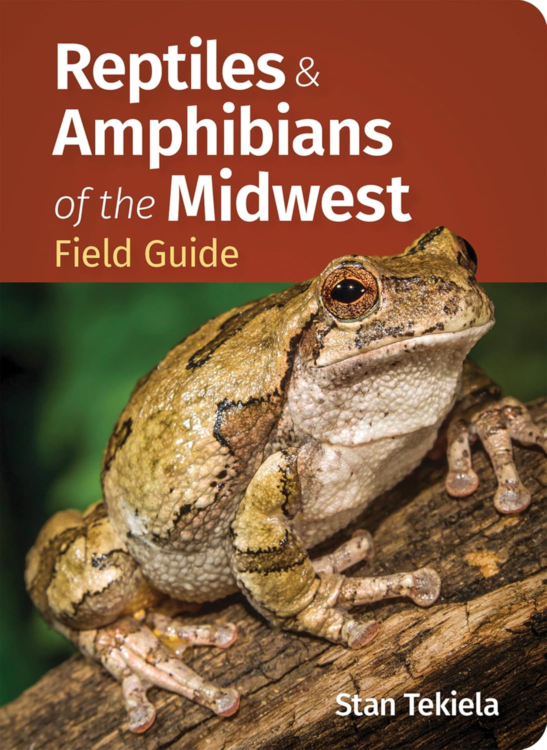 Reptiles & Amphibians of the Midwest Field Guide
