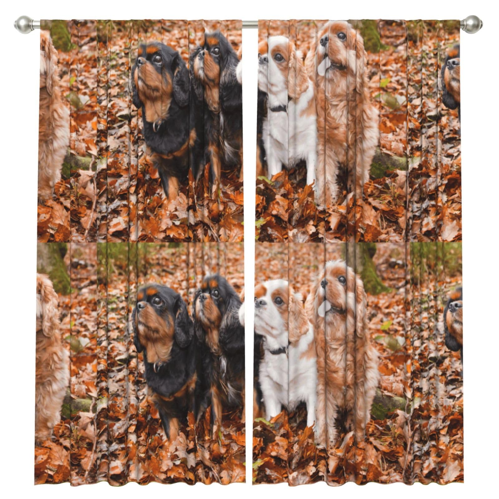 InOmak Cavalier King Charles Spaniel Autumn Puppies, 2 Panels Window Curtains 52 x 84 Inch Blackout Curtains for Living Room Bedroom