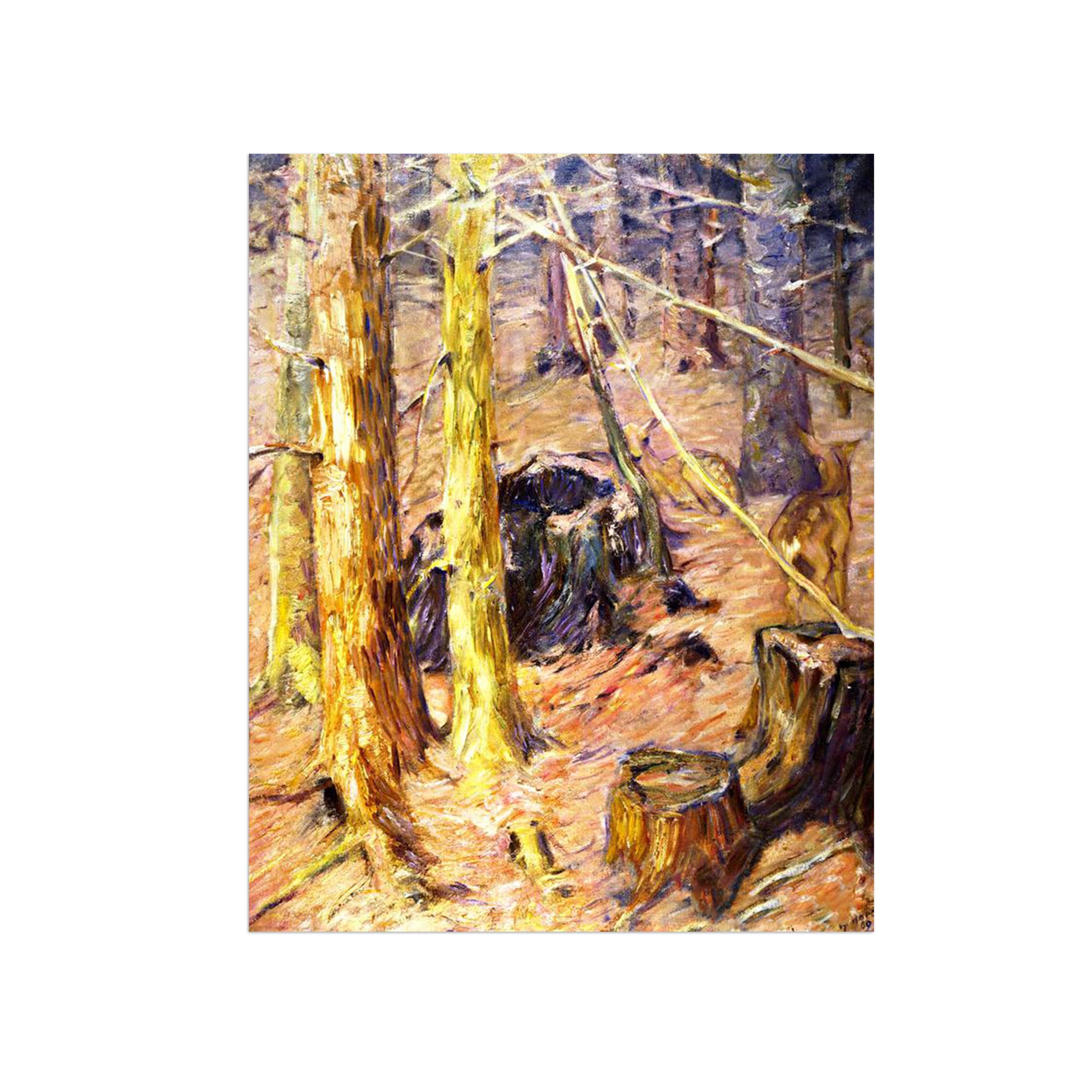 SDYSKKUG Famous Wall Art. Canvas Prints. Forest.60x50cm Unframed