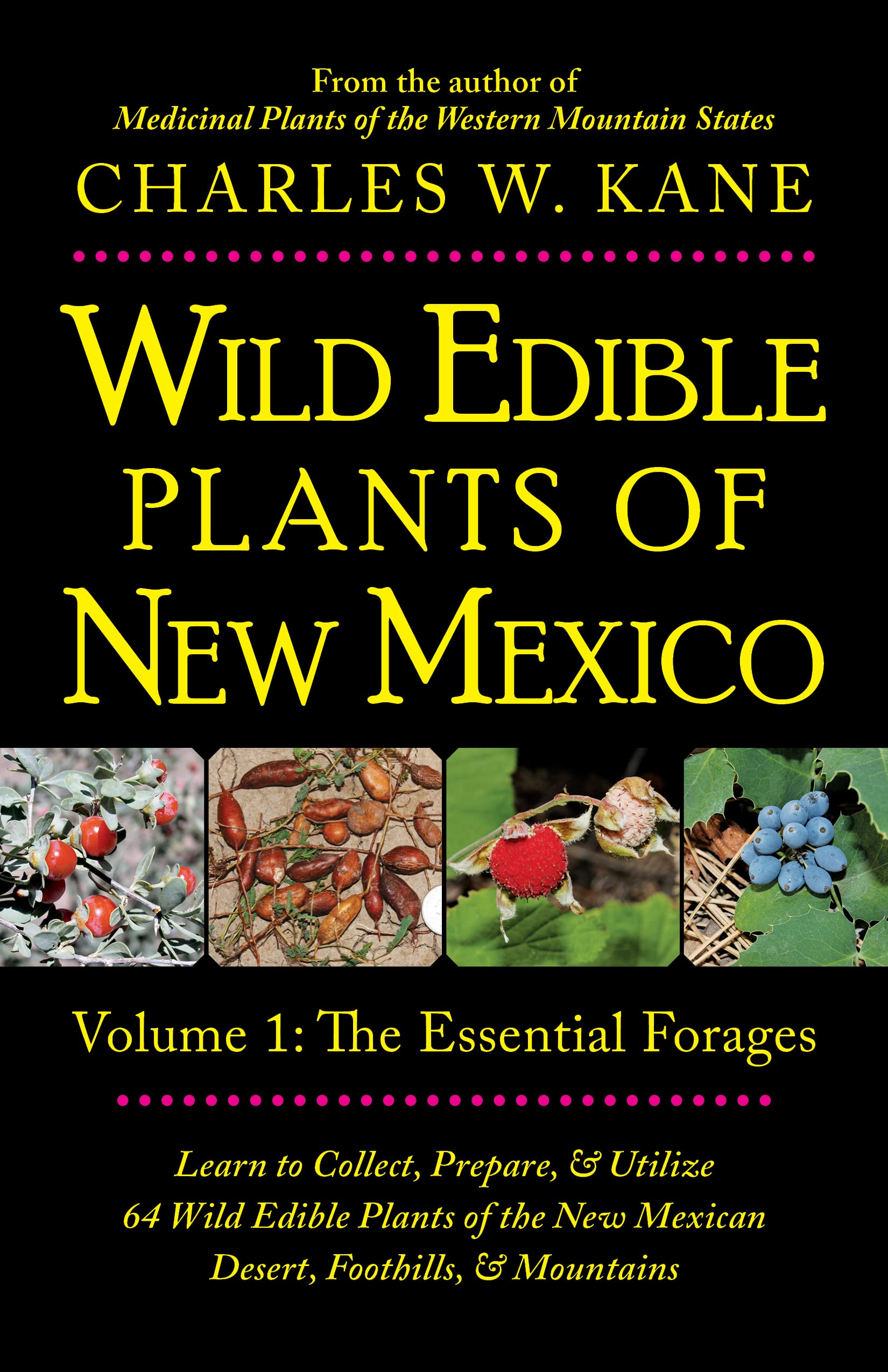 Wild Edible Plants of New Mexico: Volume 1: The Essential Forages