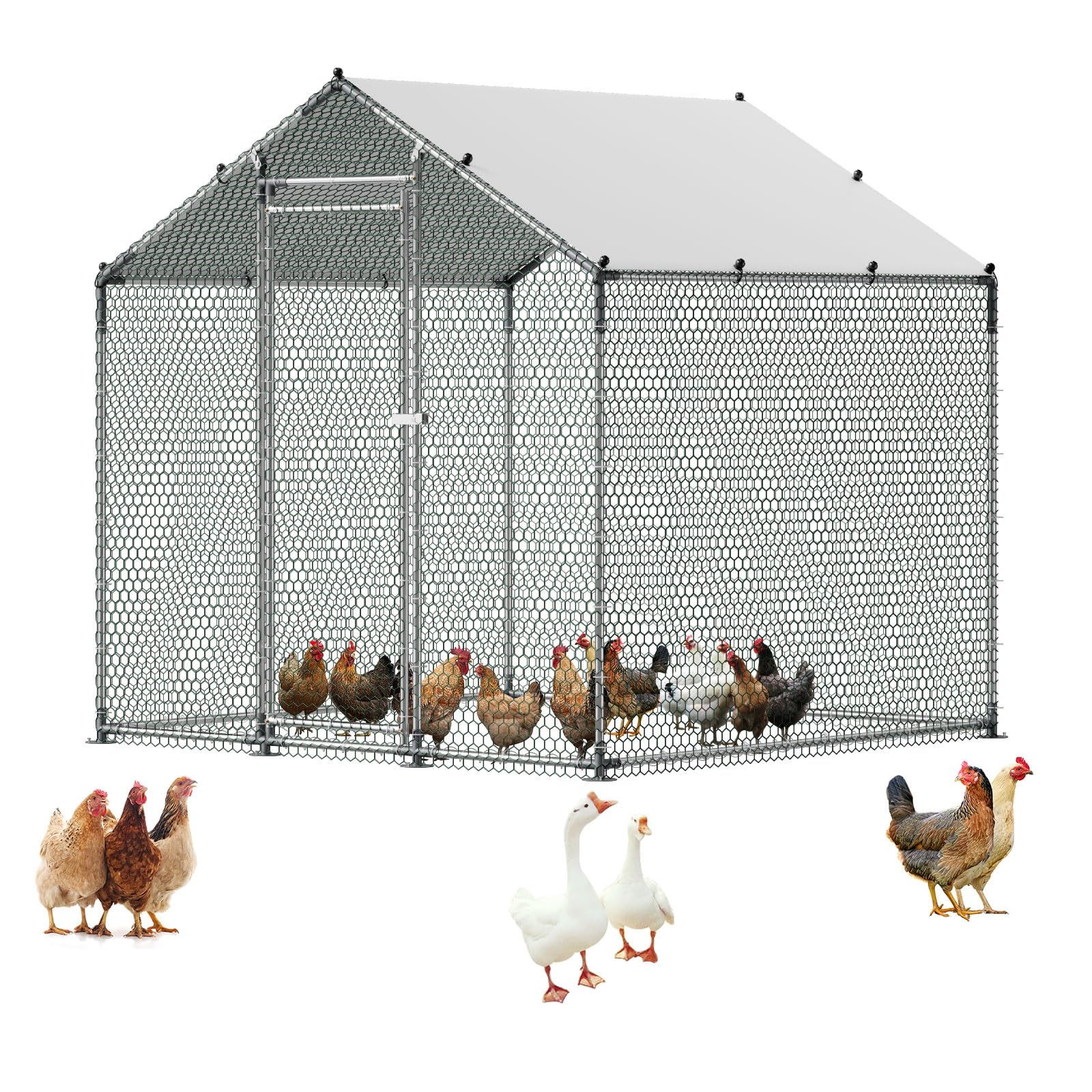 Photo 1 of VEVOR Metal Chicken Coop, 6.56x6.56x6.56ft Large Walk-in Chicken Runs with Cover, Spire Roof Hen House Enclosure with Security Lock, Outdoor Duck Rabbit Cage Poultry Pen for Backyard, Farm, Yard