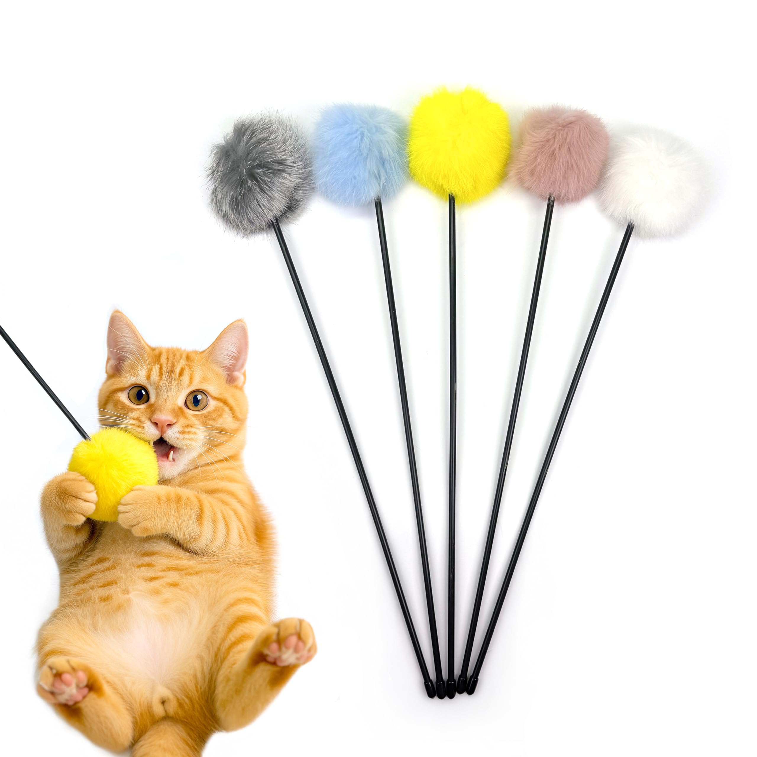 紫音@ ゴールド　猫　7個　シルバー猫 5個 生後53日】どうしても足の間で休憩したい子猫たち - YouTube