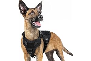 RABBIGOO Tactical Dog Harness - Extra Large Dog Harness No Pull Heavy Duty
