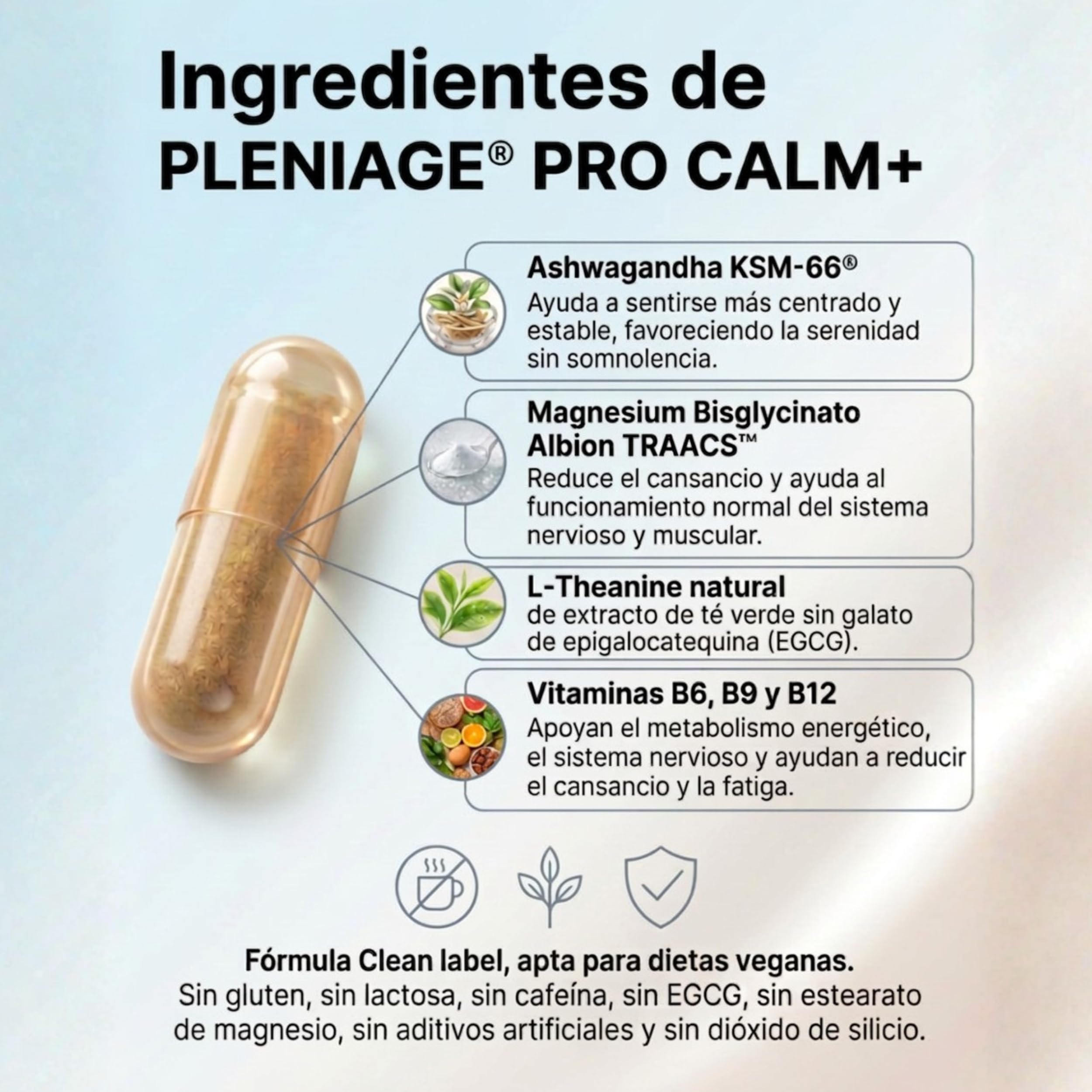 Pro Calm+ | Ashwagandha KSM-66 y Magnesio | 60 Cápsulas | Con Magnesio Bisglicinato Albion TRAACS, Rhodiola y vitaminas B6, B9, B12. Clean Label sin EGCG. Equilibrio emocional.