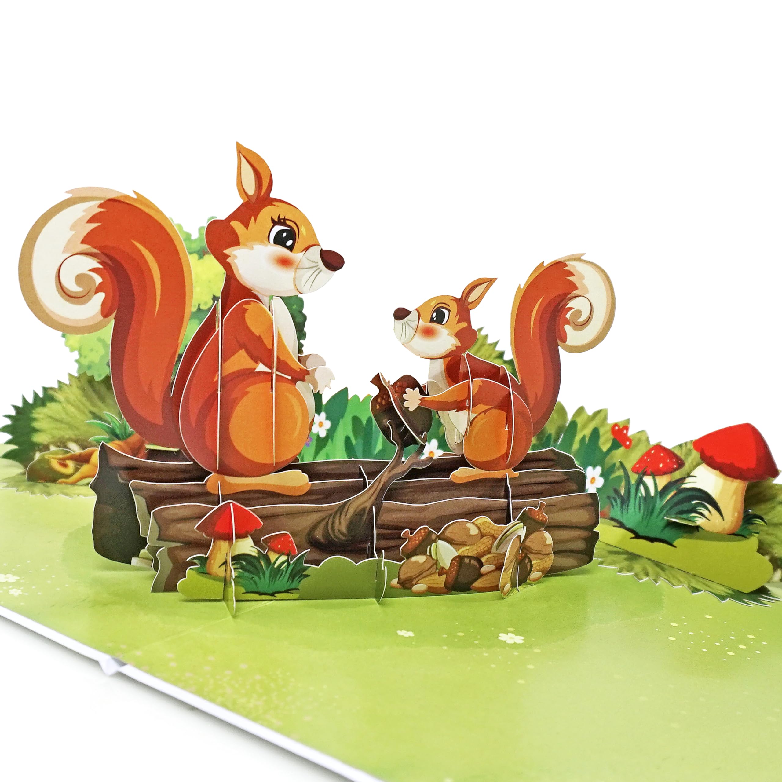 CUT POPUP.COM CUTPOPUP Eichhörnchen Paar - Jubiläumskarten,