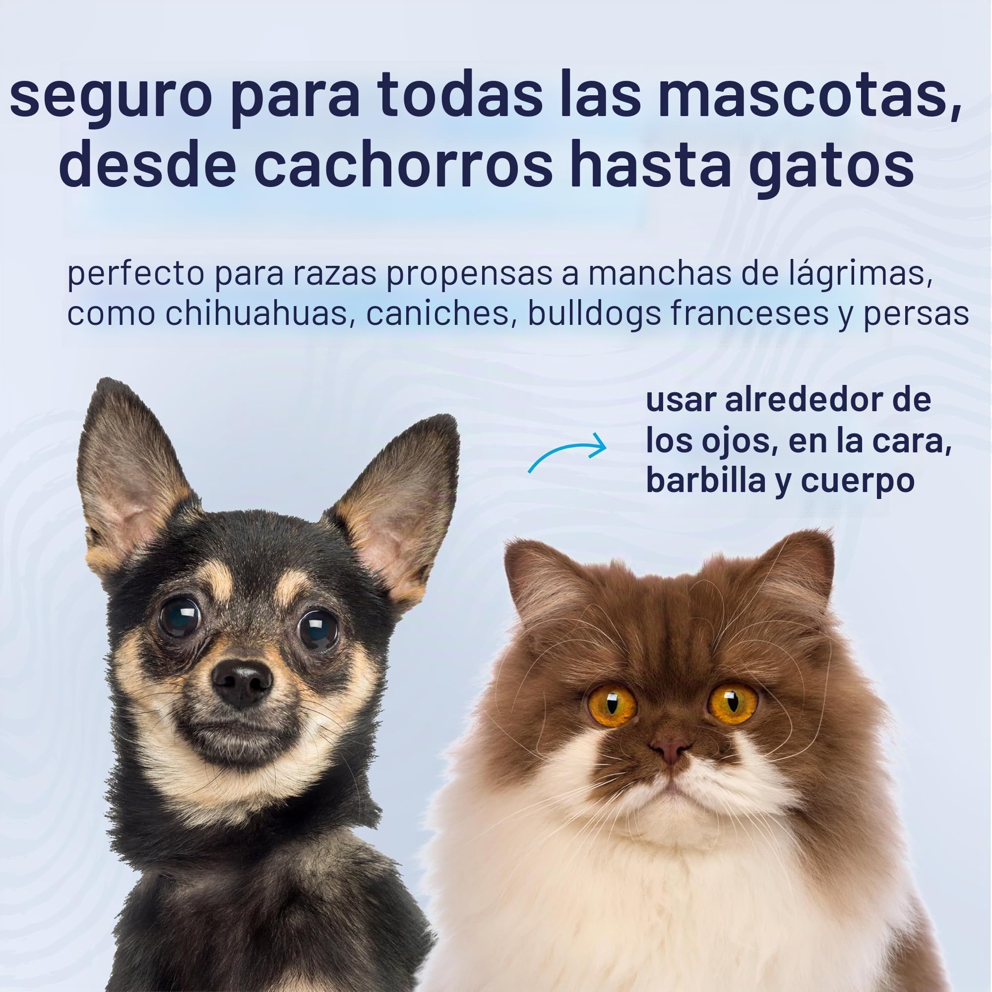 Petpost | Peine Cepillo Limpiador de Manchas Oculares para Perros – Con Dientes Extra Finos para Quitar Eficientemente Costras y Mucosidad a tu Shih Tsu o Maltés
