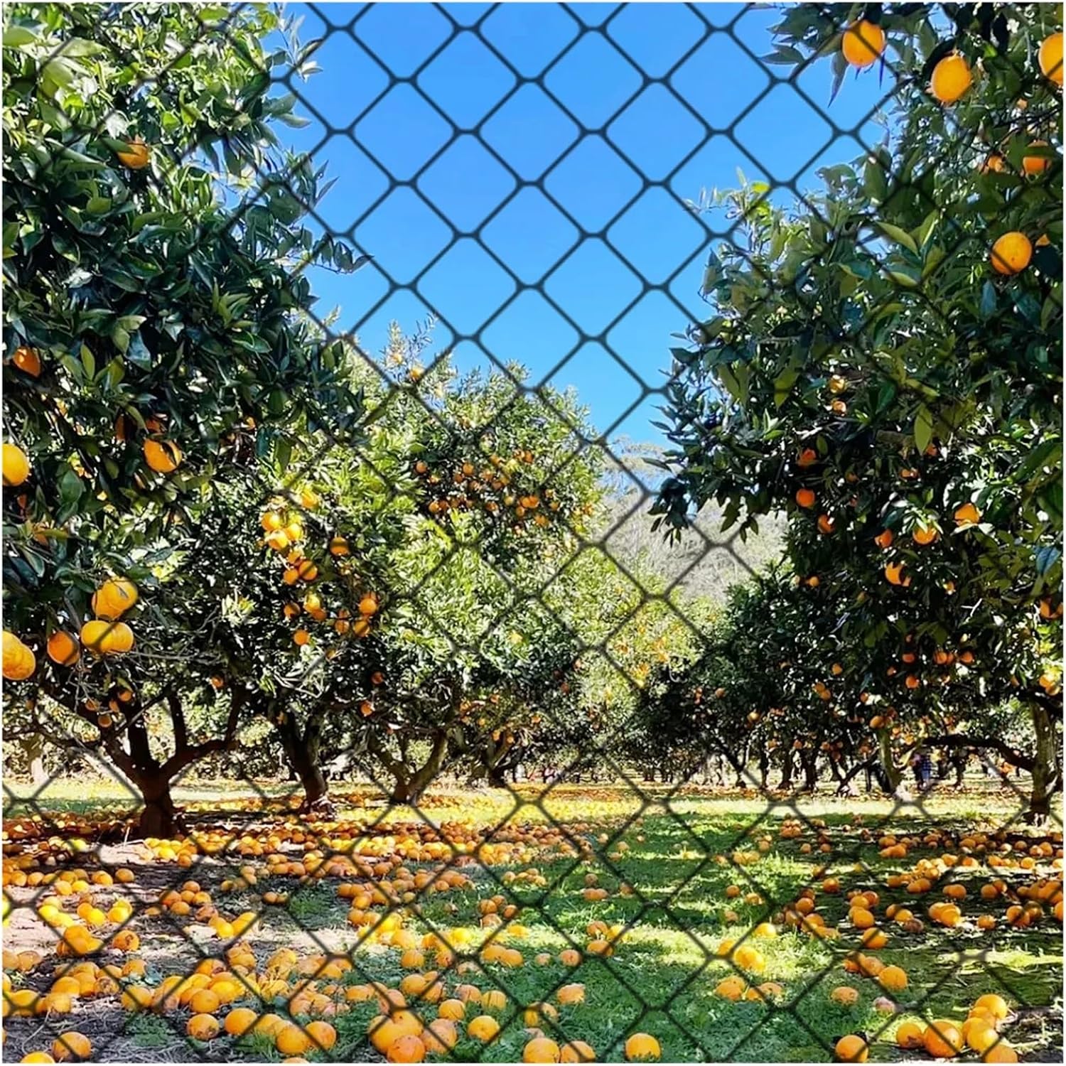 Nylon Anti Bird Netting Heavy Nylon Anti Bird Netting Garden Fence and Crops Protective Fencing Mesh Deer Cat Dog Chicken Fishing Net