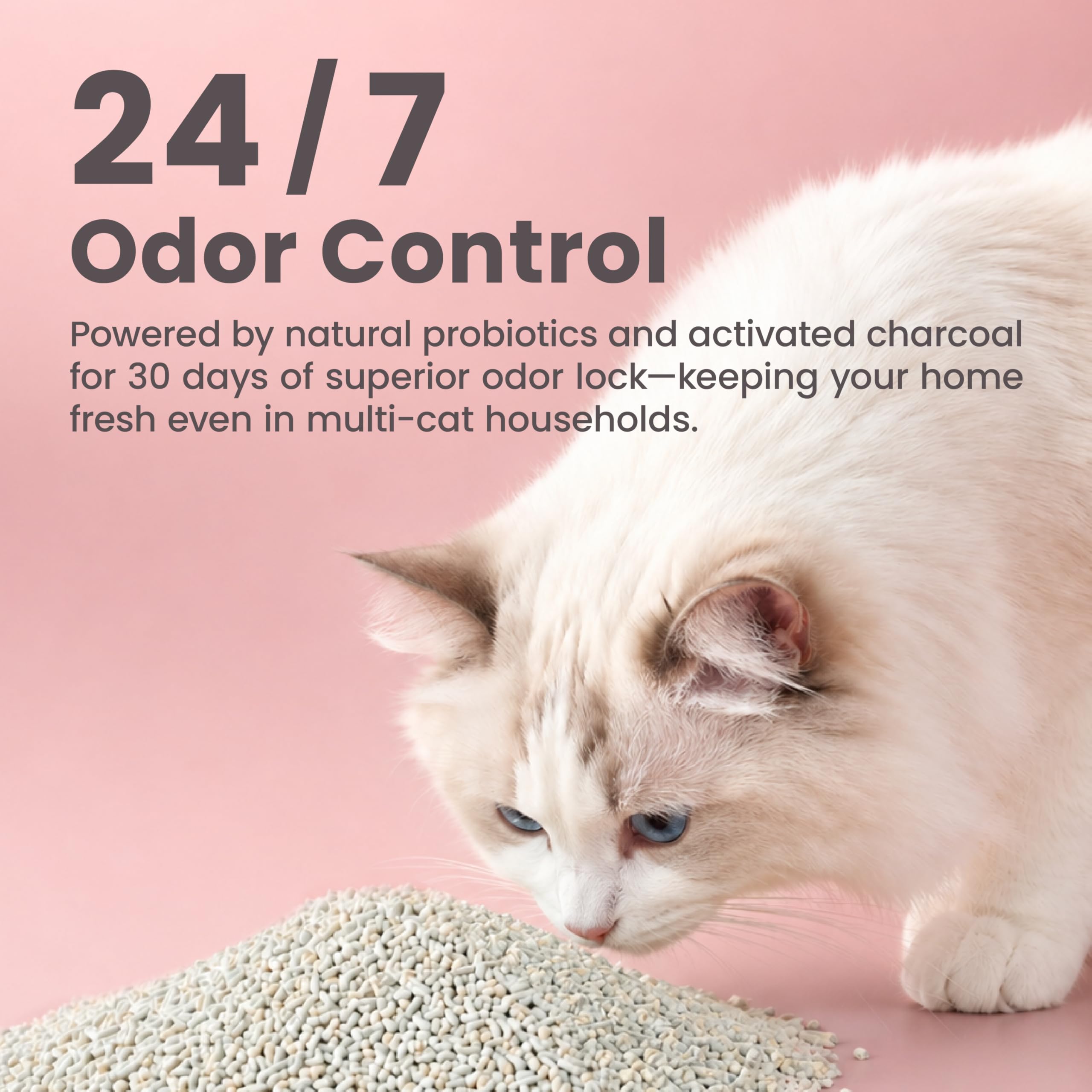 Lady N Pellet Tofu - Arena para gatos, fuerte aglomeración, ultra absorbente, sin polvo, bajo seguimiento, ecológico y carbón activado para control de olores, 18 libras (2 paquetes sin perfume)