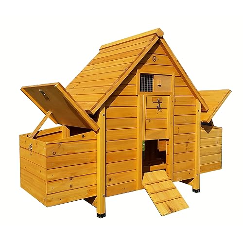 Hen Coop Amazoncouk