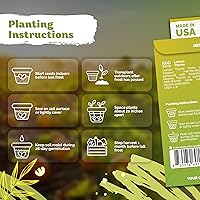 Vista 3 de KVITER 500 semillas de tomillo limón para plantar (Thymus Pulegioides) – semillas de tomillo rastrero silvestre como cobertura de suelo, planta