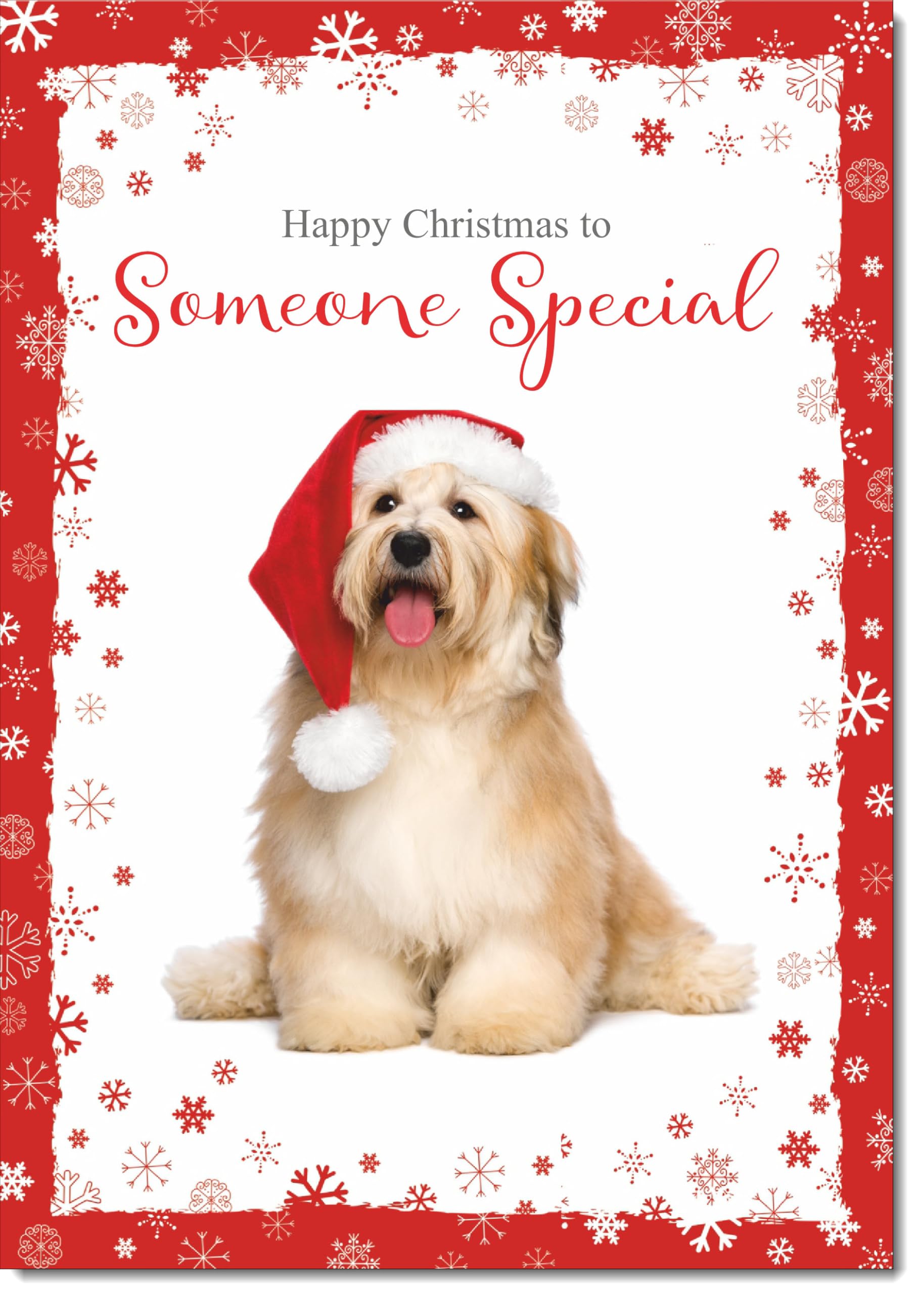 doodlecards Someone Special Christmas Card Dog with Santa Hat Large A4 Size Christmas Card for Someone Special with Plain Envelope — image 1