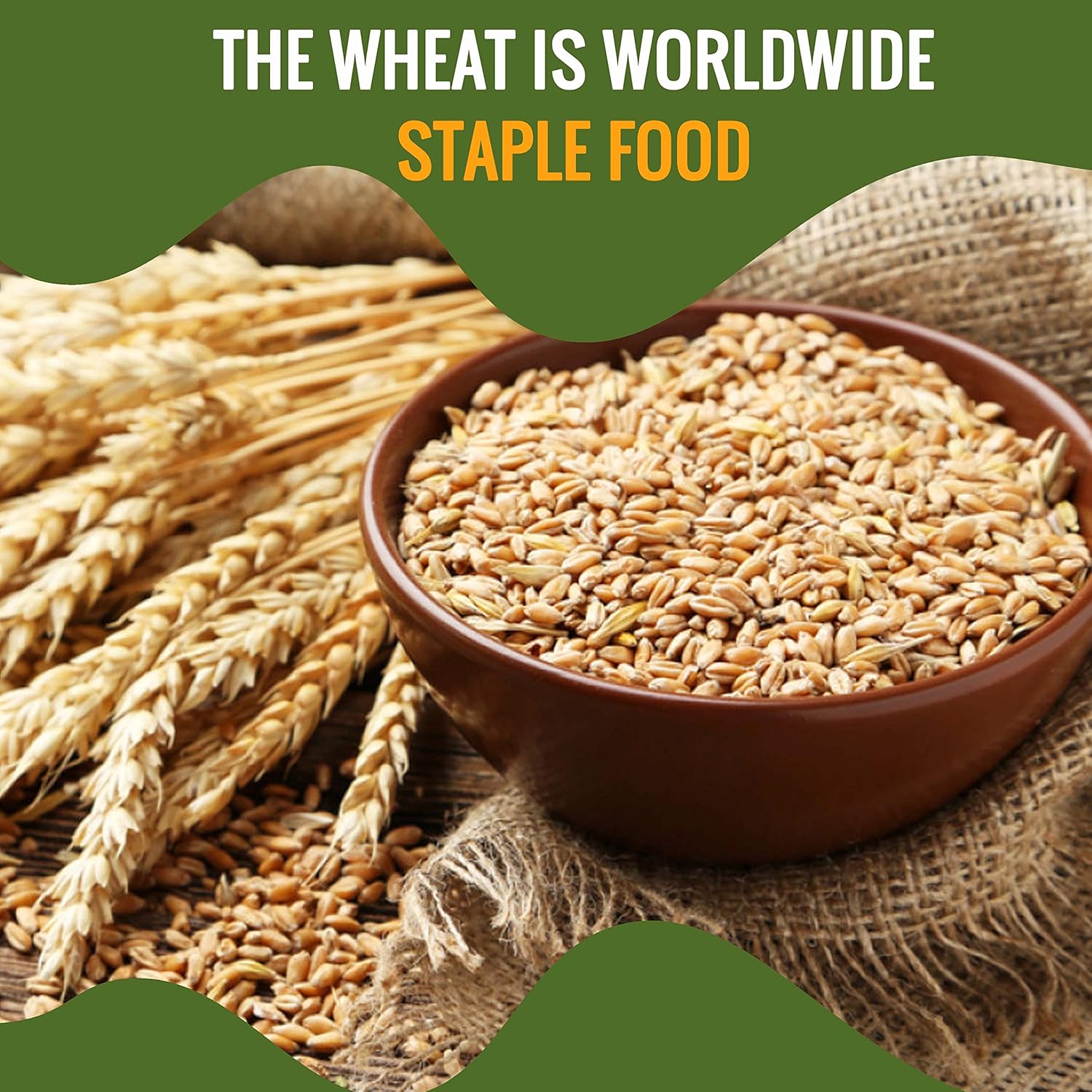 Future Essentials All Purpose White Flour | 100% Natural Whole Grain | Non GMO | Long Term Storage Shelf Stable | Emergency Survival Food Supply, Camping & Backpacking (#2.5 size) 6 Cans