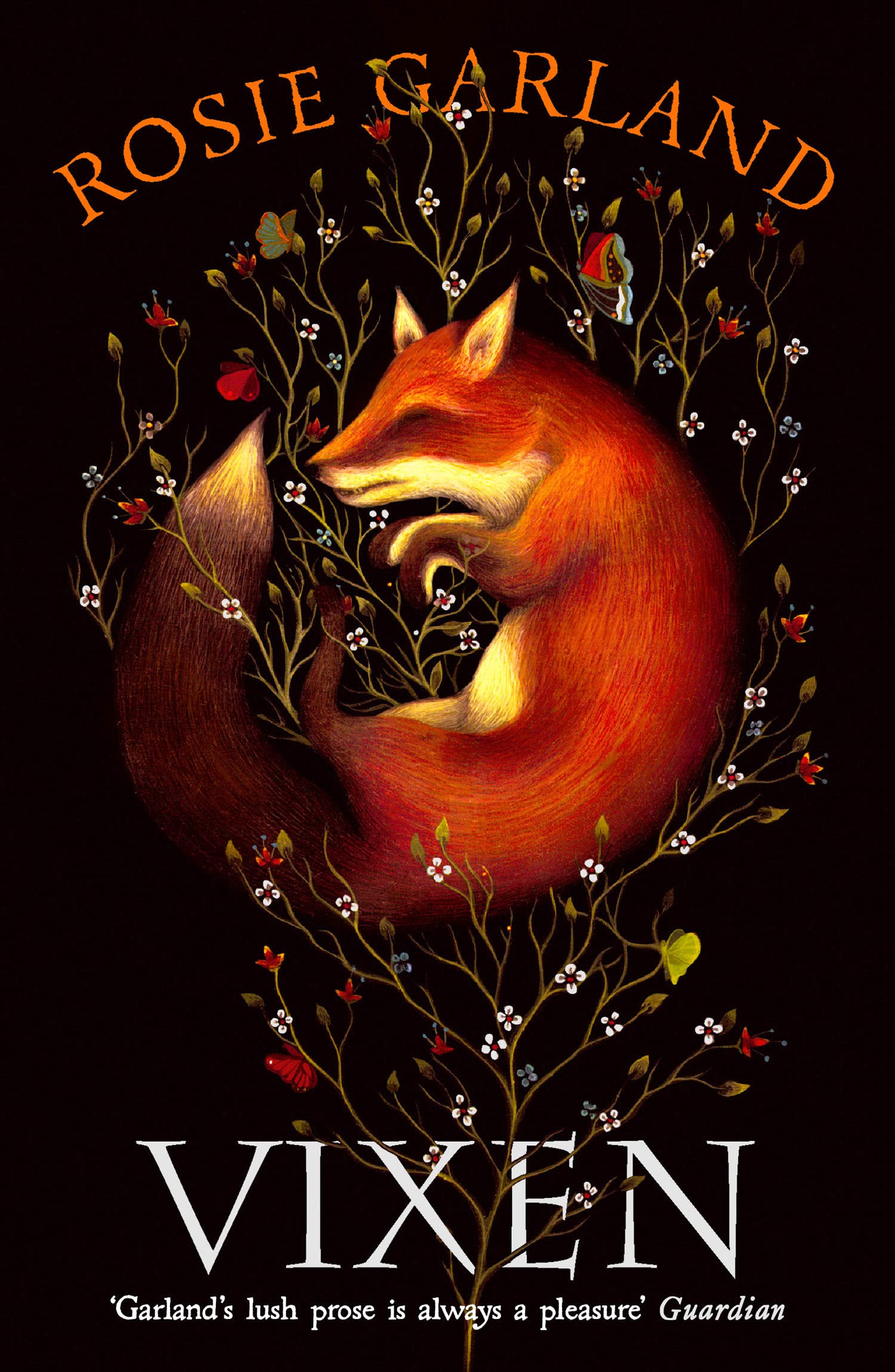 VIXEN: An Extraordinary Medieval Historical Fiction Tale of the Black Death and Devotion