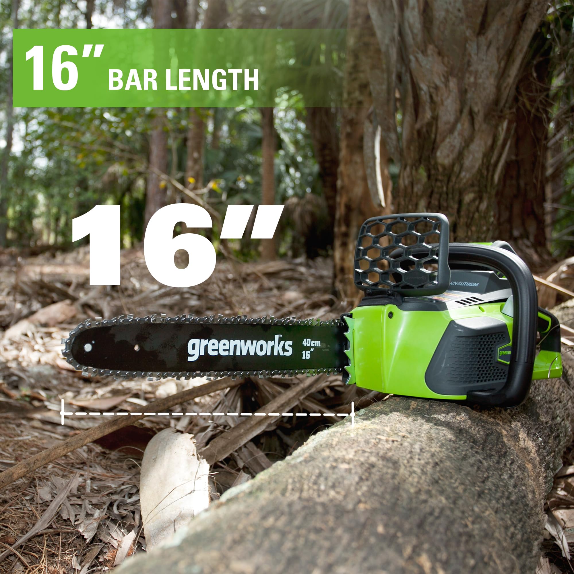 Greenworks Barra di ricambio da 40,6 cm e catena