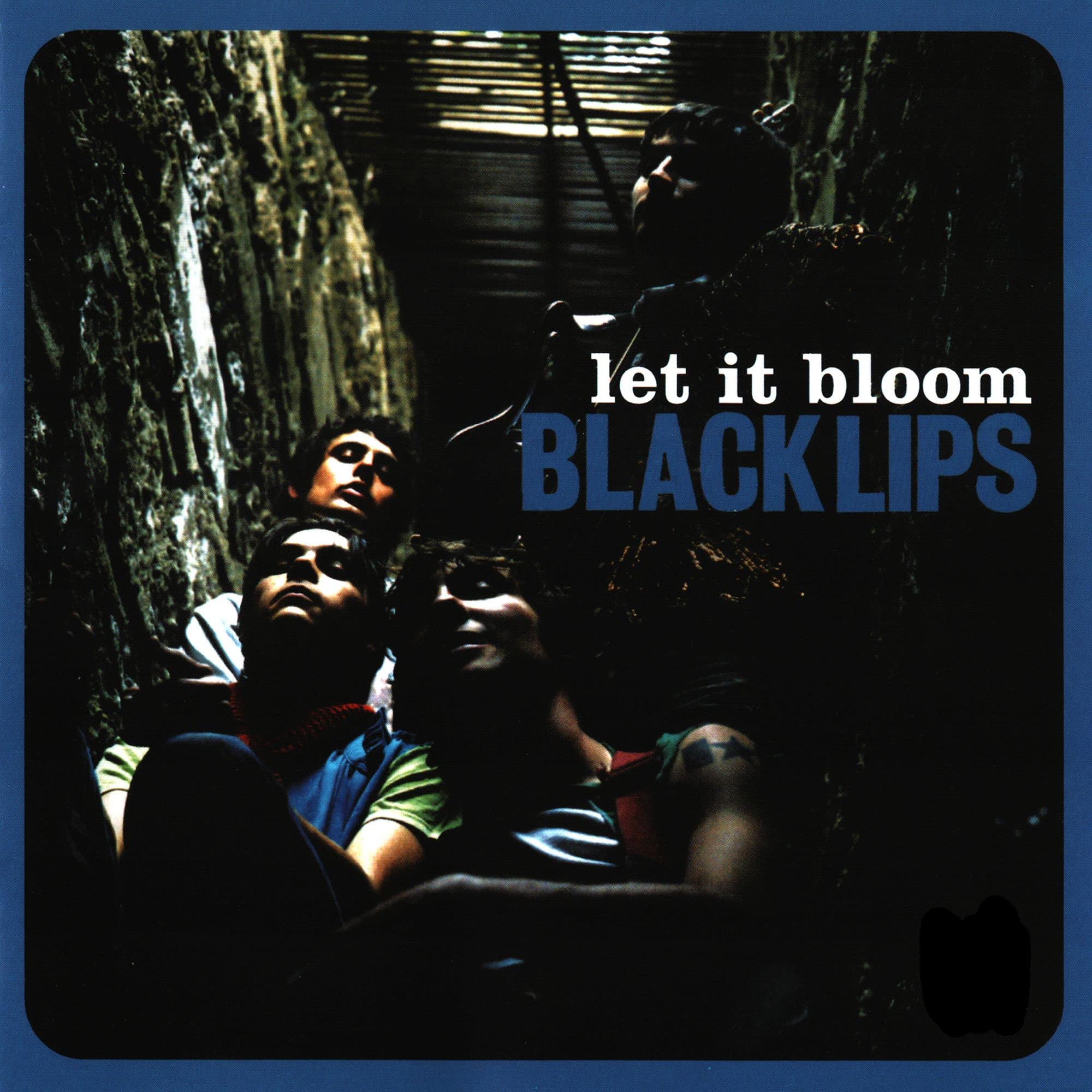 Let It Bloom [VINYL]