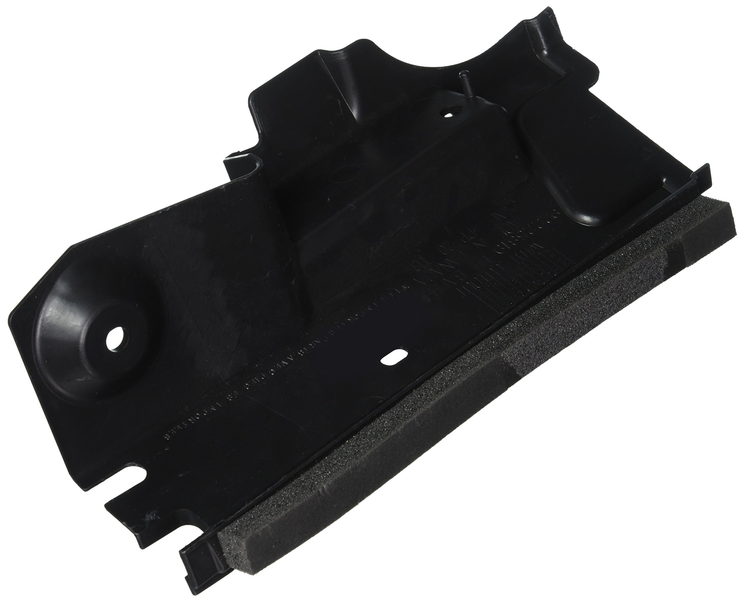Amazon.com: GM Genuine 92233112 Radiator Air Side Baffle, Right 