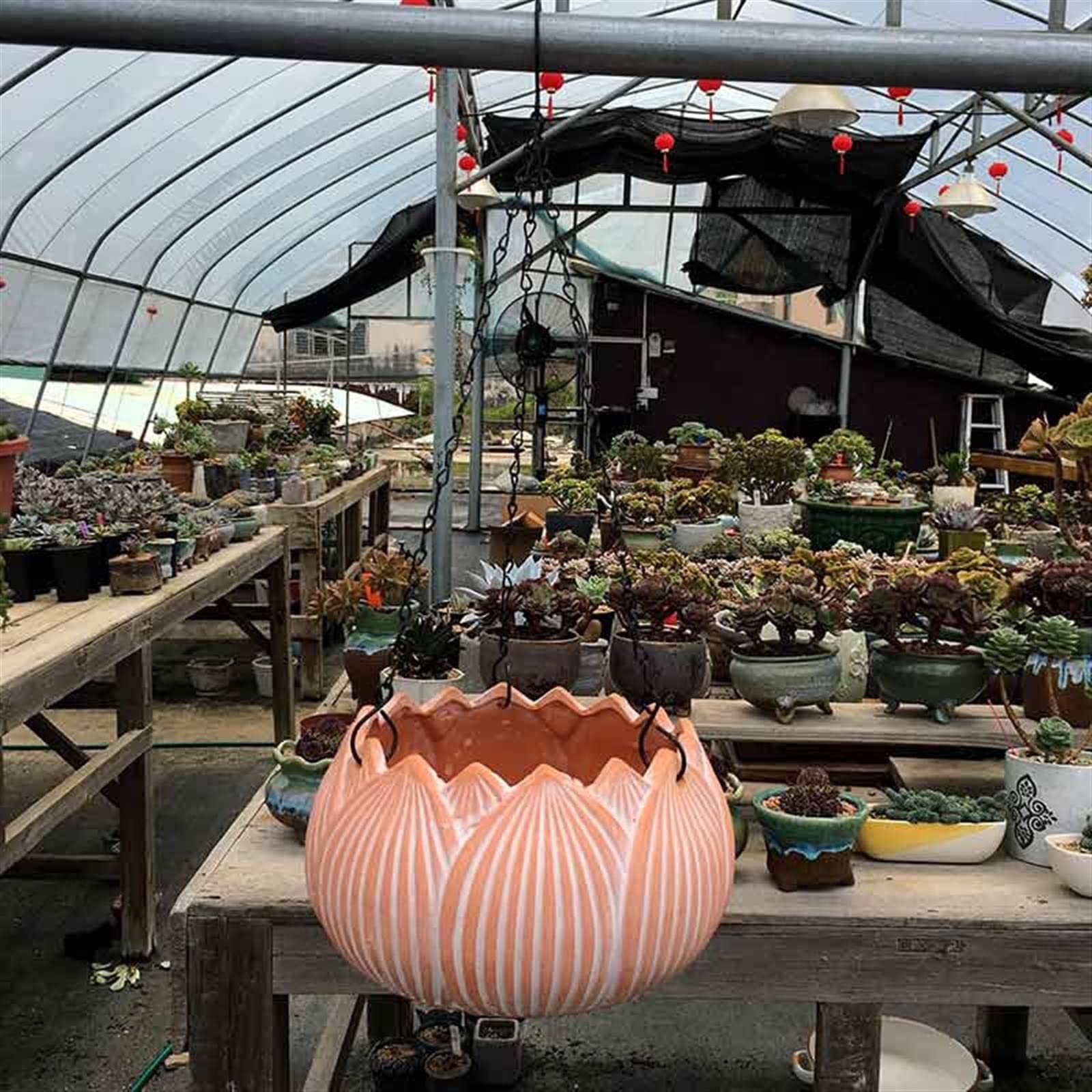 SUNESA Doniczki na kwiaty, kreatywna doniczka wisząca w kształcie lotosu, czerwona ceramiczna doniczka na kwiaty, oddychająca doniczka ceramiczna, doniczka na sukulenty, do zawieszenia