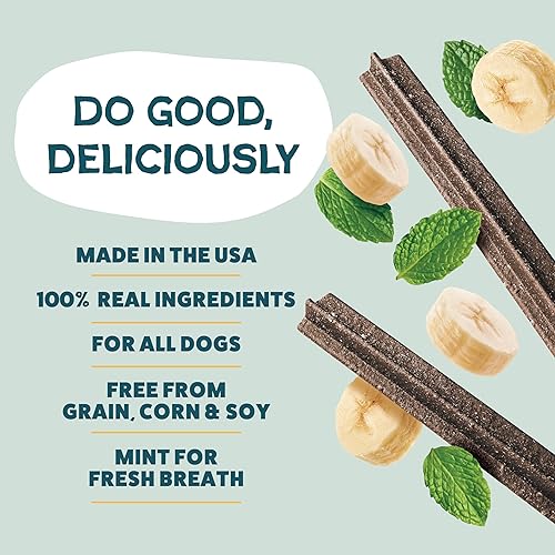 Miniatura 3 de Shameless Pets Golosinas dentales para perros, Banana Bone-Anza, palitos dentales saludables con soporte para cadera y articulaciones para limpieza