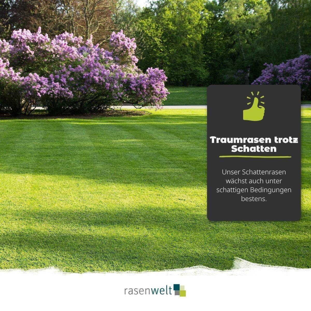 ARENA Poa Supina Superior Rasensamen mit Keimbeschleuniger 3kg I Premium Schattenrasen I tiefschnittverträglich und schnelkeimend