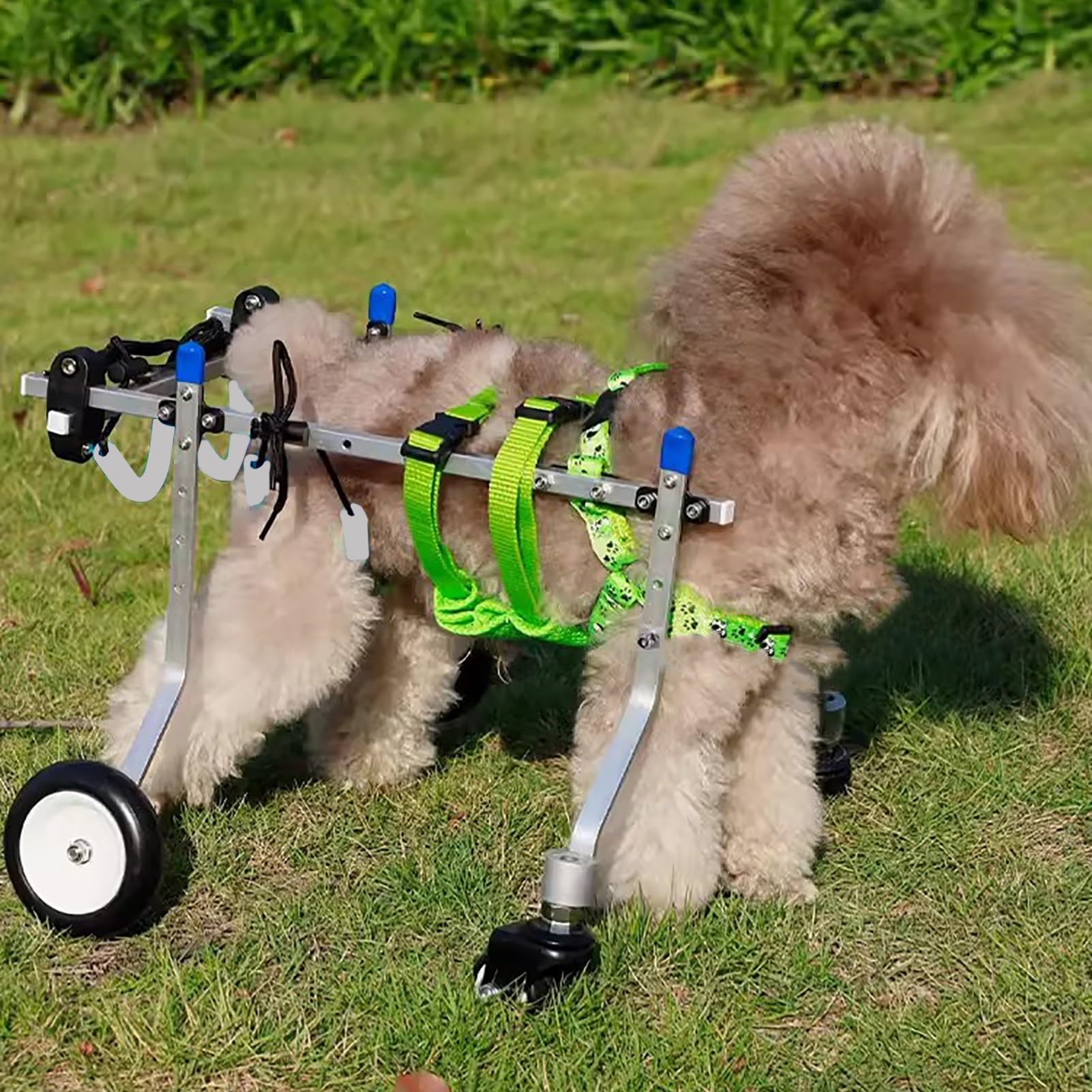 Silla de ruedas para perros talla XS ancha ideal para paseos y rehabilitación de mascotas