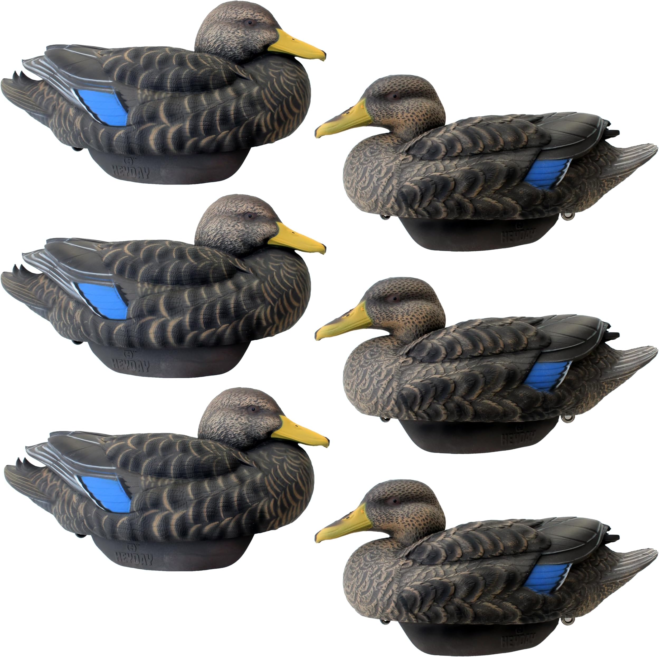 Black Duck Decoys by Heyday – Ultra-Light 100% HydroFoam | Durable, Realistic Design | 6 Pack of Duck Hunting Decoys