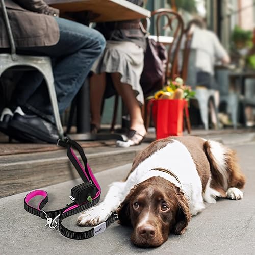 Miniatura 9 de Correa para perro sin tirones para perros grandes, correa elástica altamente reflectante de 6 pies, correa resistente para perros grandes, 4 asas