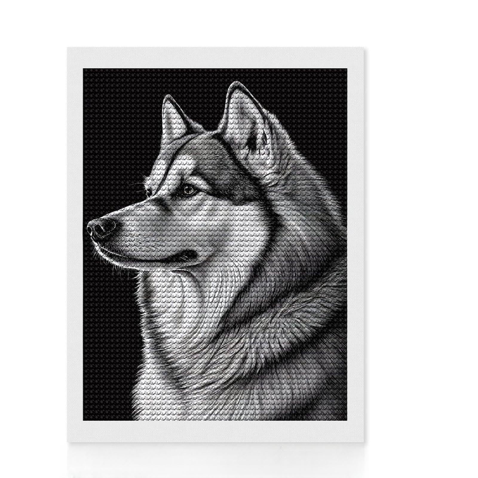 Junmoney Husky Drawn Dog Diamond Painting Set 12"x16", with Tool Kit, Office Decor, Creative Hobby, Fun Craft Activity, Winter Craft