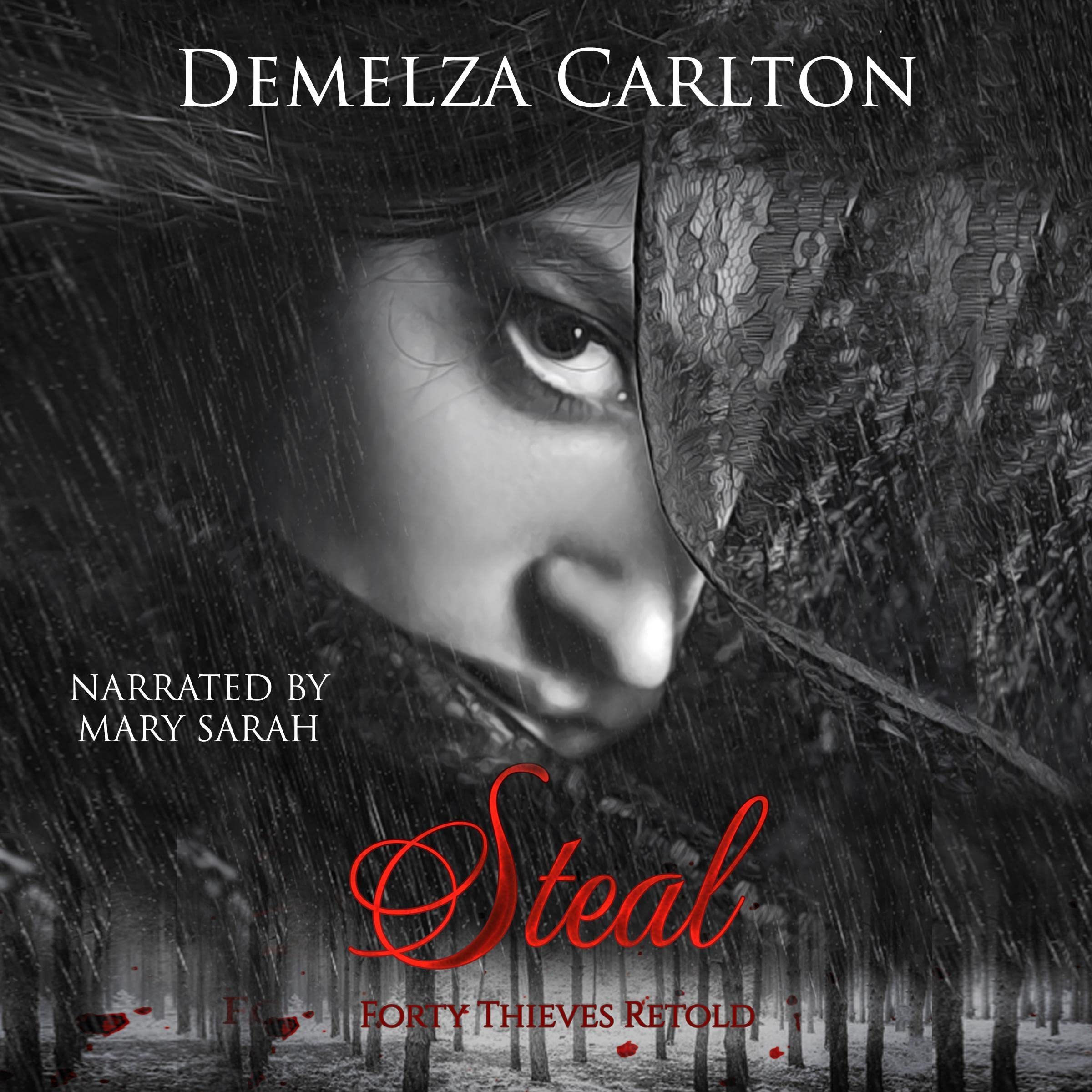 Cover art for Steal: Forty Thieves Retold