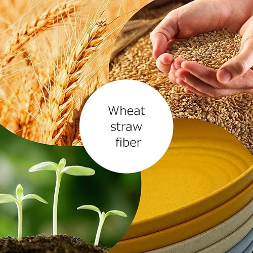 Miniatura 6 de Yemyep Juego de 8 platos de paja de trigo de 9 pulgadas, platos de plástico irrompibles, reutilizables, aptos para microondas y lavavajillas, platos