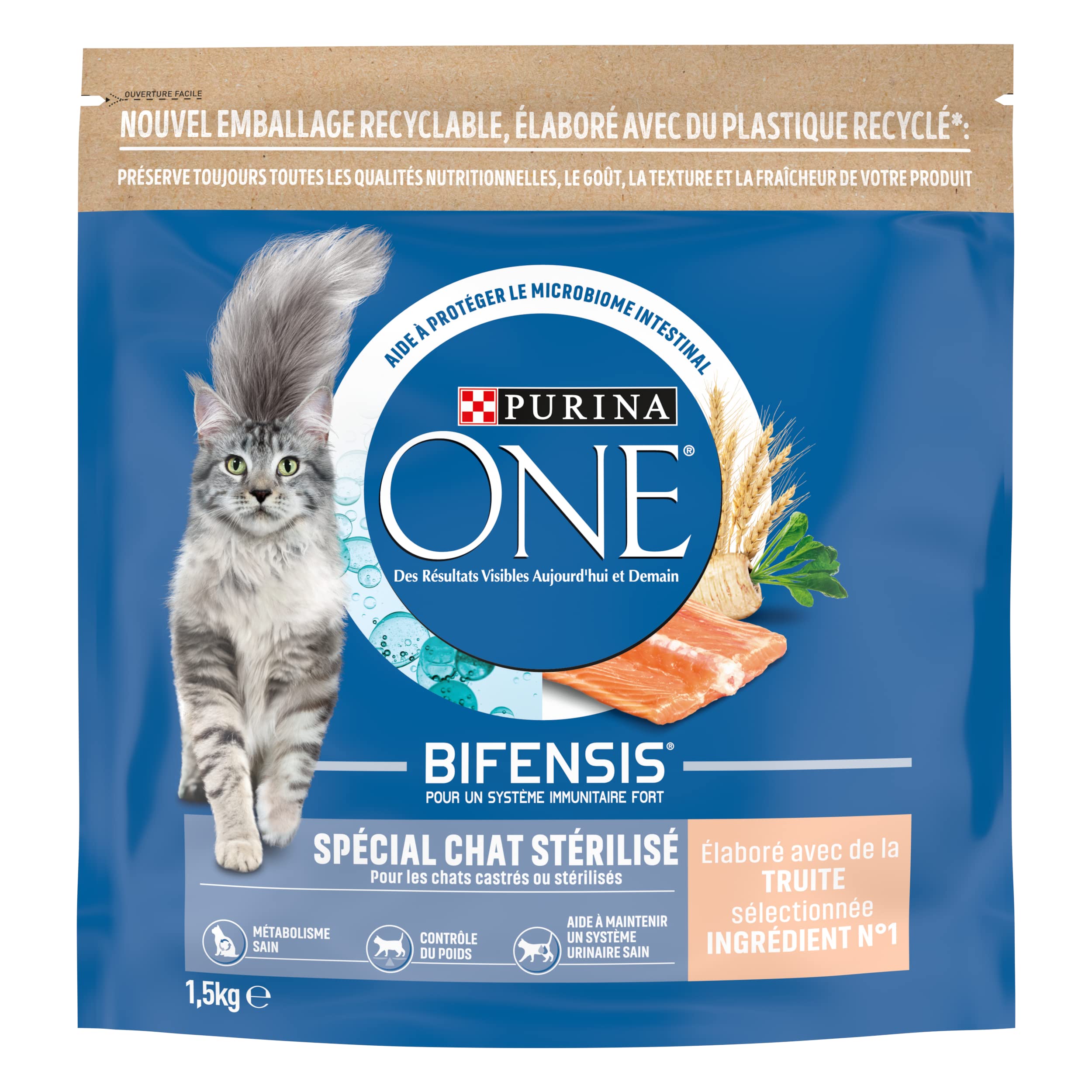 PURINA ONE Bifensis - Gatto sterilizzato, crocchette alla trota per gatti adulti, confezione da 1,5 kg, confezione da 6