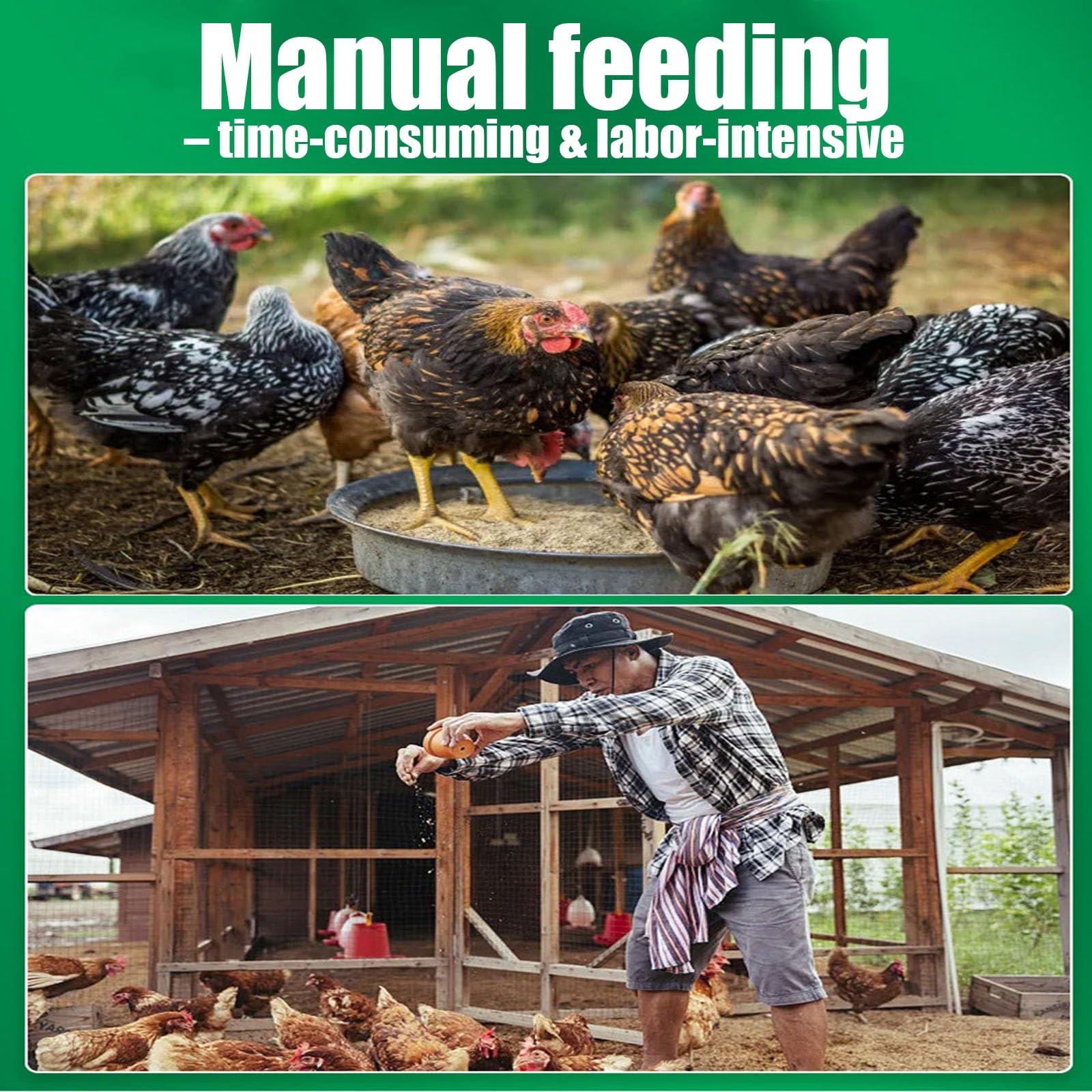 Comedero Automático A Pedal Para Gallinas, Resistente A La Lluvia Y A Roedores, Para Gallinas Enanas, Gallos Y Faisanes En Gallinero Exterior
