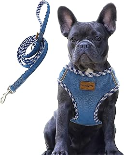 Aiminto Premium Denim Dog Harness and Leash Set, Step in, Breathable Mesh, Lightweight, Reflective Vest Harness - for Medi...