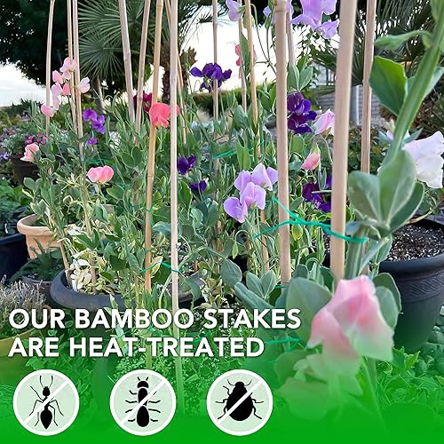 Miniatura 9 de SWANGSA Paquete de 55 estacas de bambú de 4 pies, estacas de jardín para soporte de plantas, tomates, frijoles, flores, plantas trepadoras,