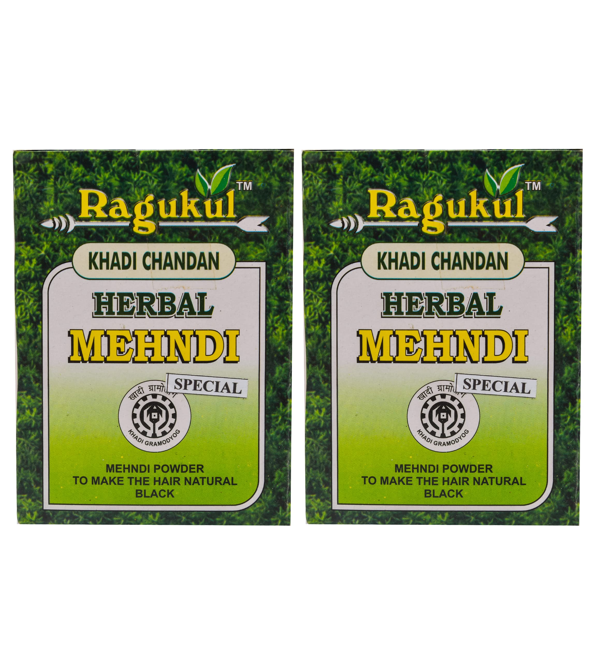 Ragukul Special Khadi Chandan Herbal Mehndi_Pack of 2 (240 Gram)
