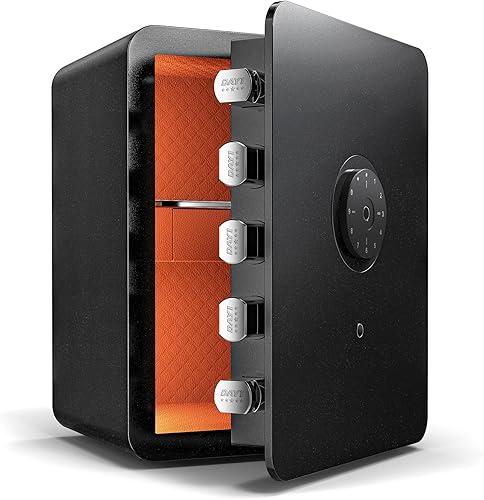 DAYI Caja de seguridad biométrica de huellas dactilares, caja fuerte para el hogar de 2.8 pies cúbicos con cajón de joyas, panel táctil digital de