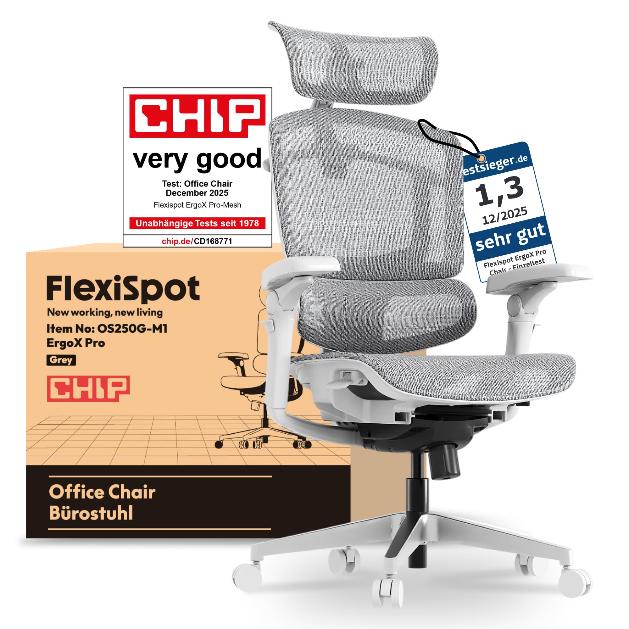 FLEXISPOT ErgoX Pro Sedia da Ufficio Ergonomica con Altezza Regolabile a 12 Livelli, Braccioli 7D, Supporto Lombare 5D, Poggiatesta 4D, Portata 250 kg e Seduta in Rete Traspirante – Grigio