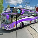 - Drive a colorful bus and pick up passengers